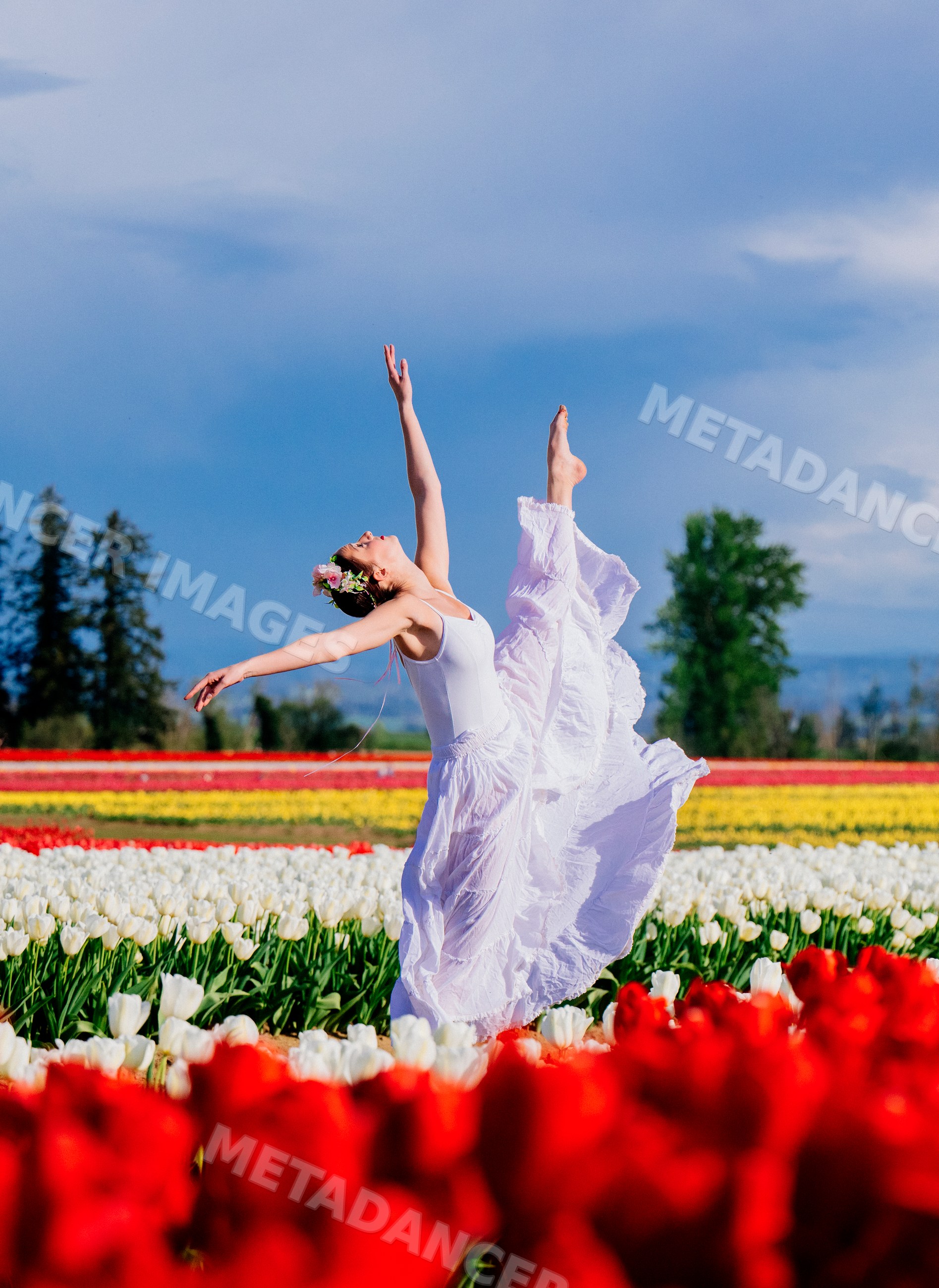 Ballet white dancer performing in vibrant tulip field outdoors