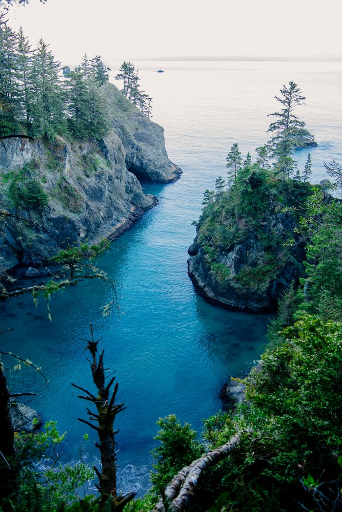 Rocky coastal landscape with evergreen trees and cliffs, Oregon