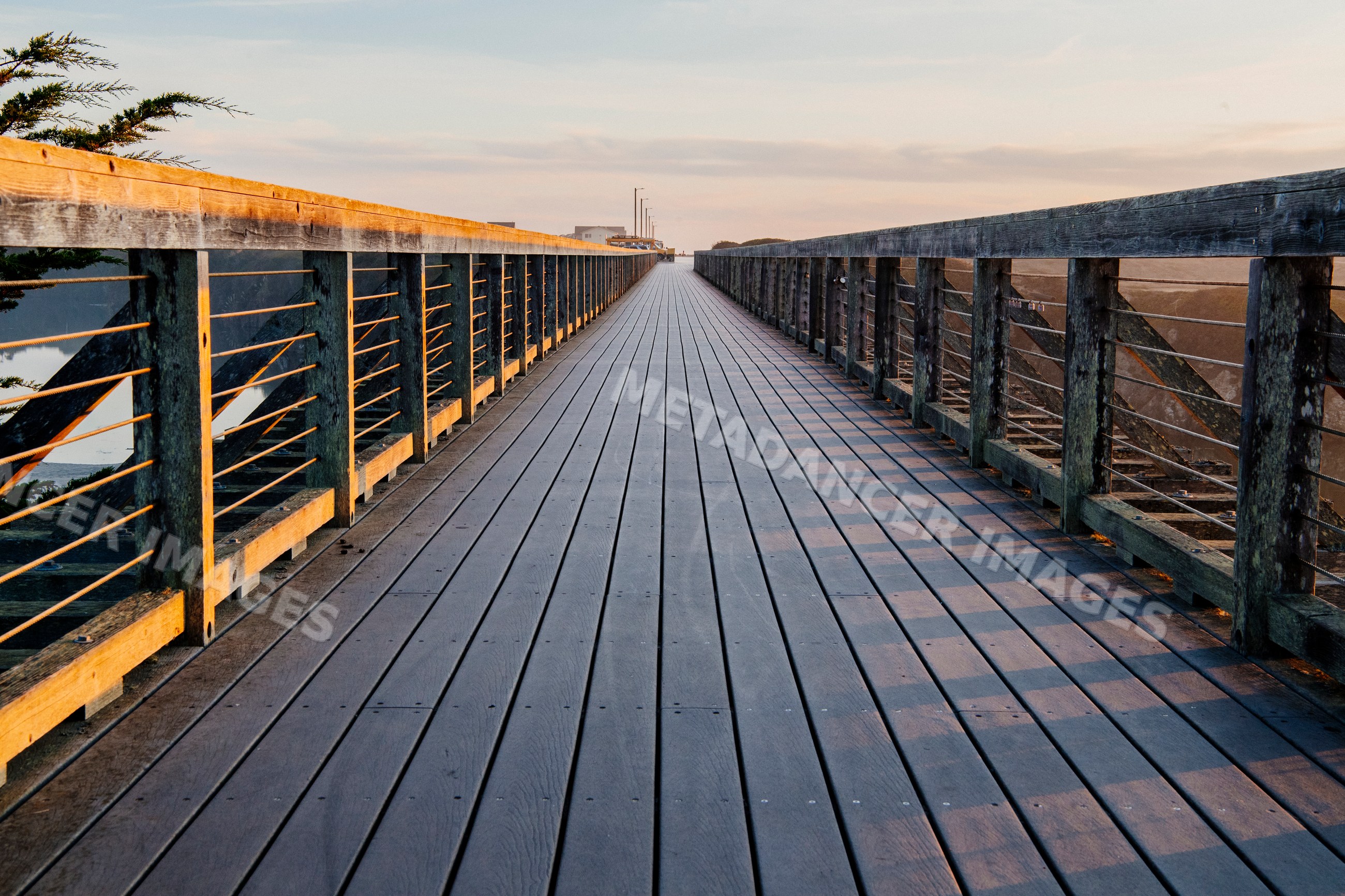 Wooden boardwalk extending into sunset with railing and evening sky