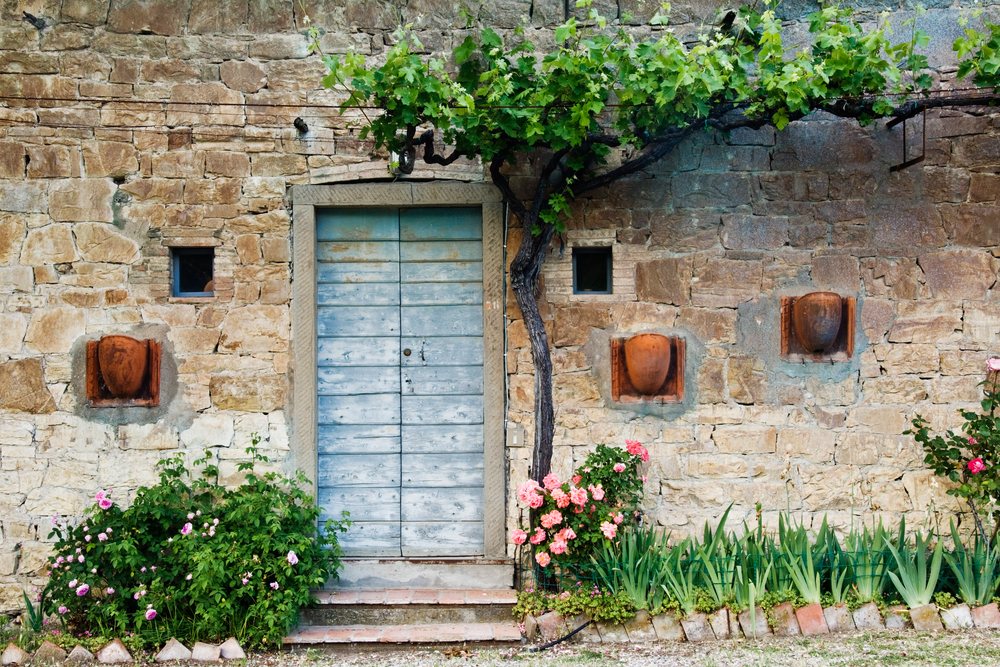 Flowerbed and vine growing beside blue door on stone wall