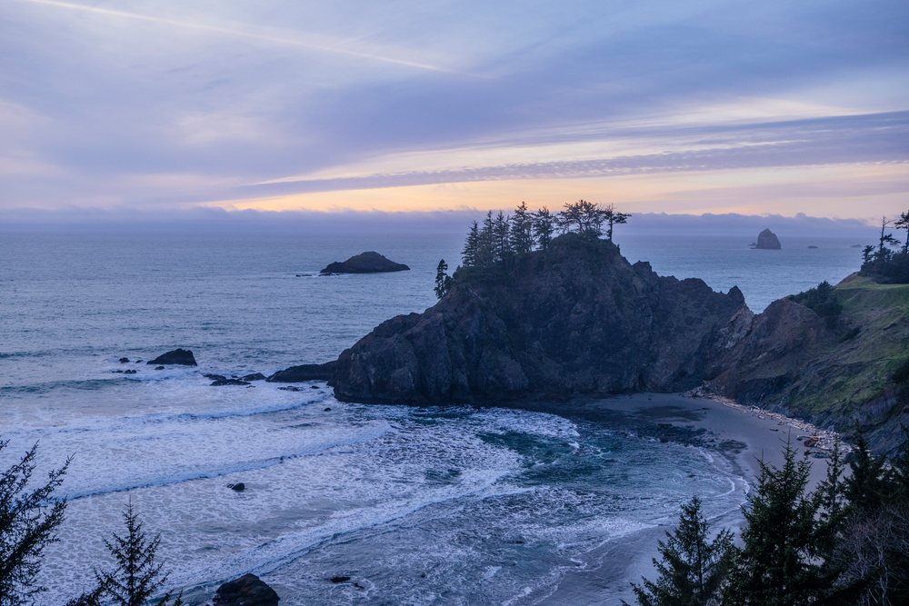 Rocky coast with trees and ocean waves at sunset in California, USA