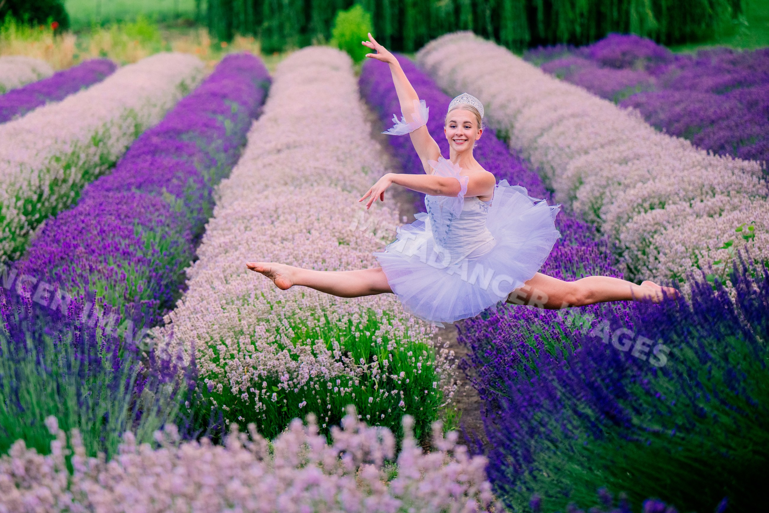 A ballet white dancer leaps gracefully through rows of blooming