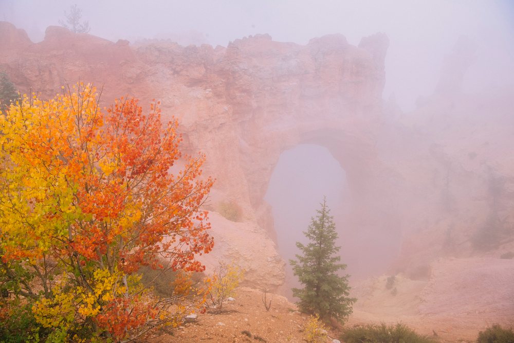 Natural red rock arch with autumn foliage