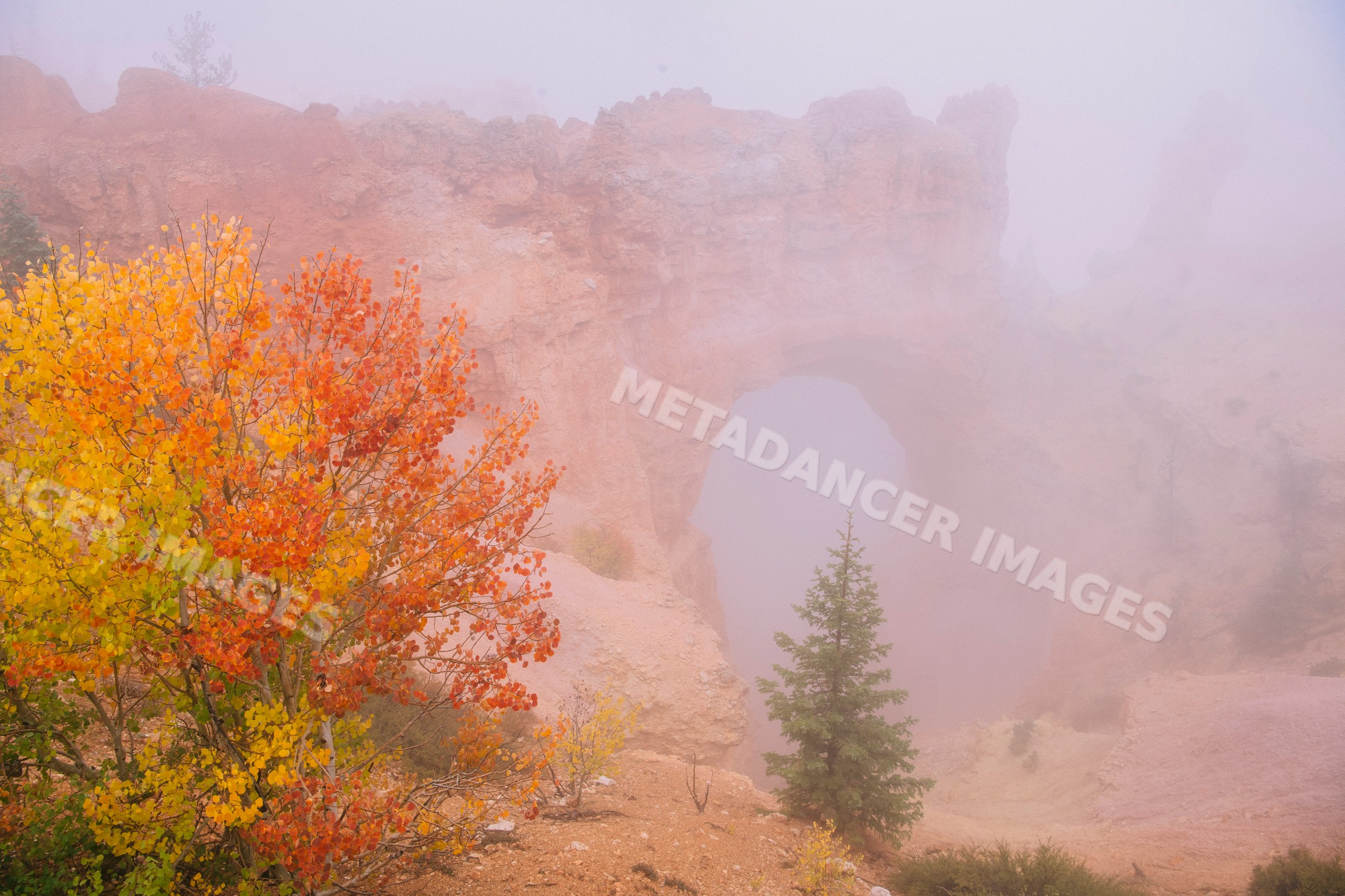 Natural red rock arch with autumn foliage