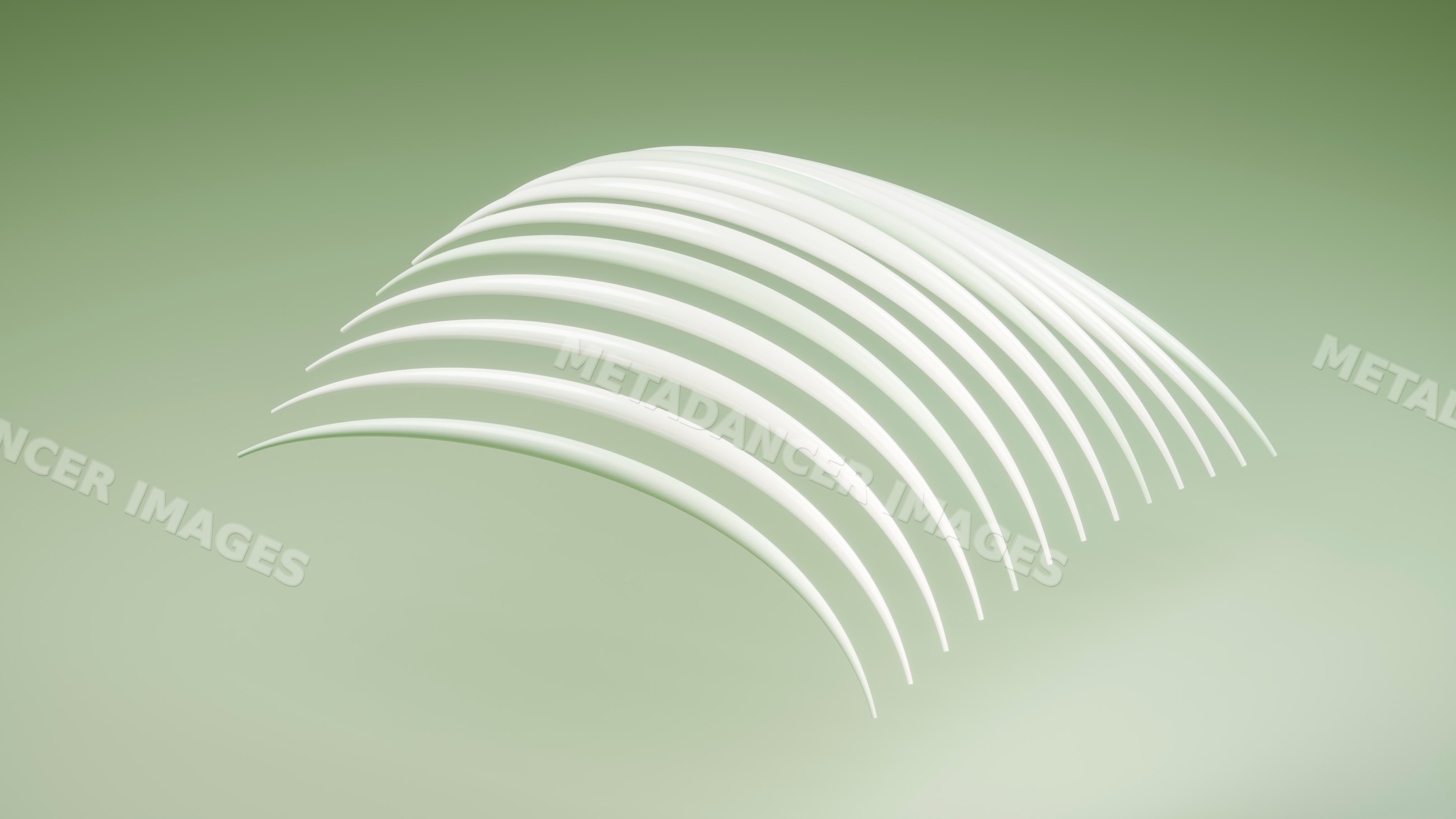 White rib bones forming anatomical arc shape