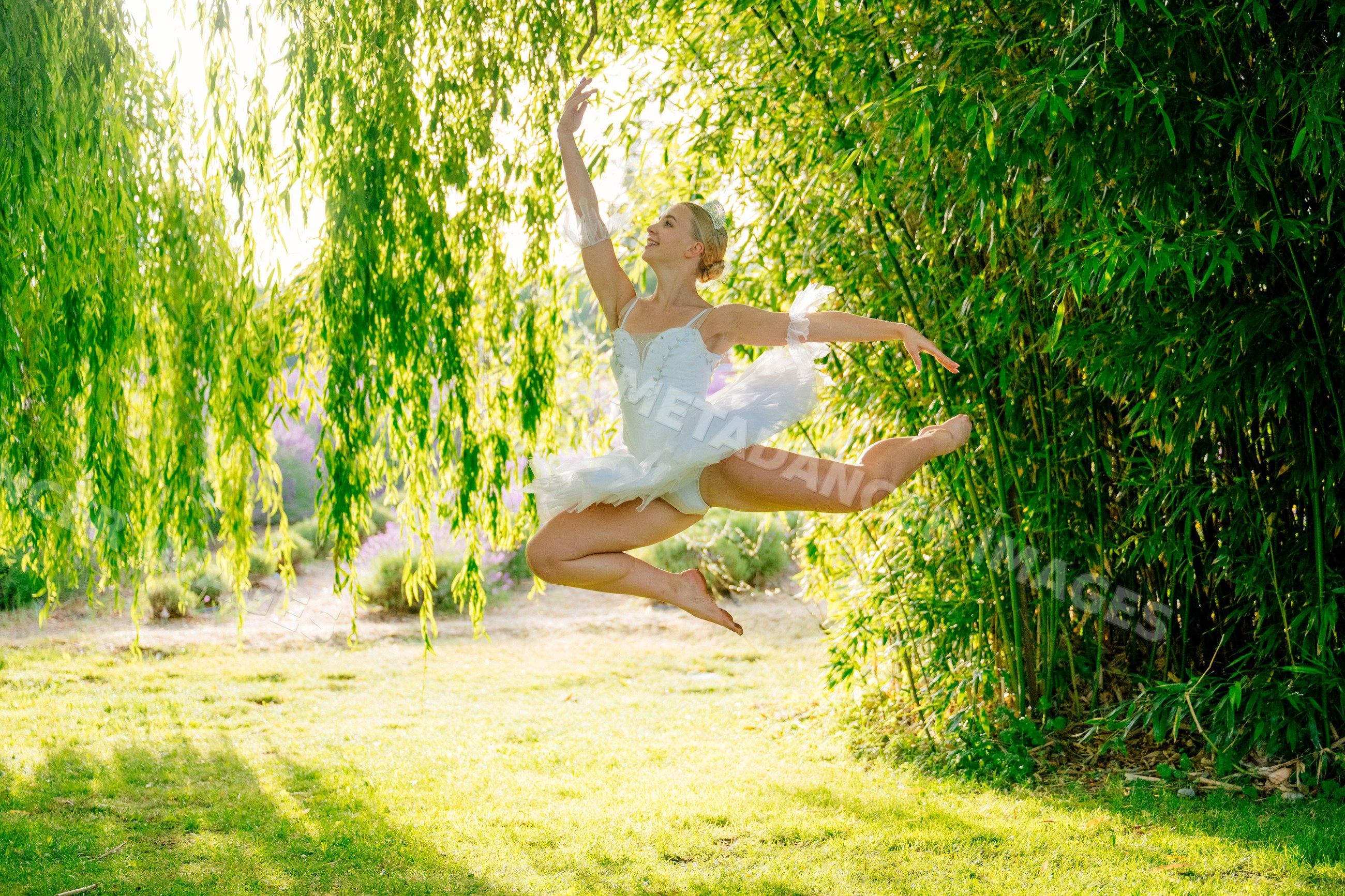 A ballet white dancer leaps gracefully outdoors beneath a willow tree