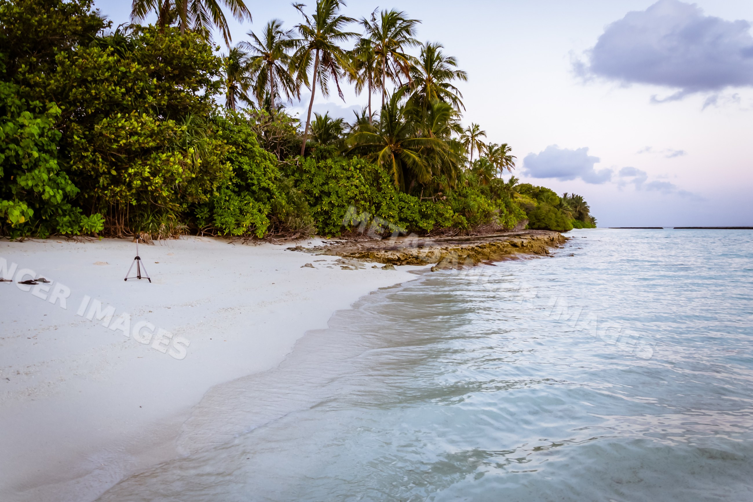 Tropical white sand beach with palm trees and tripod