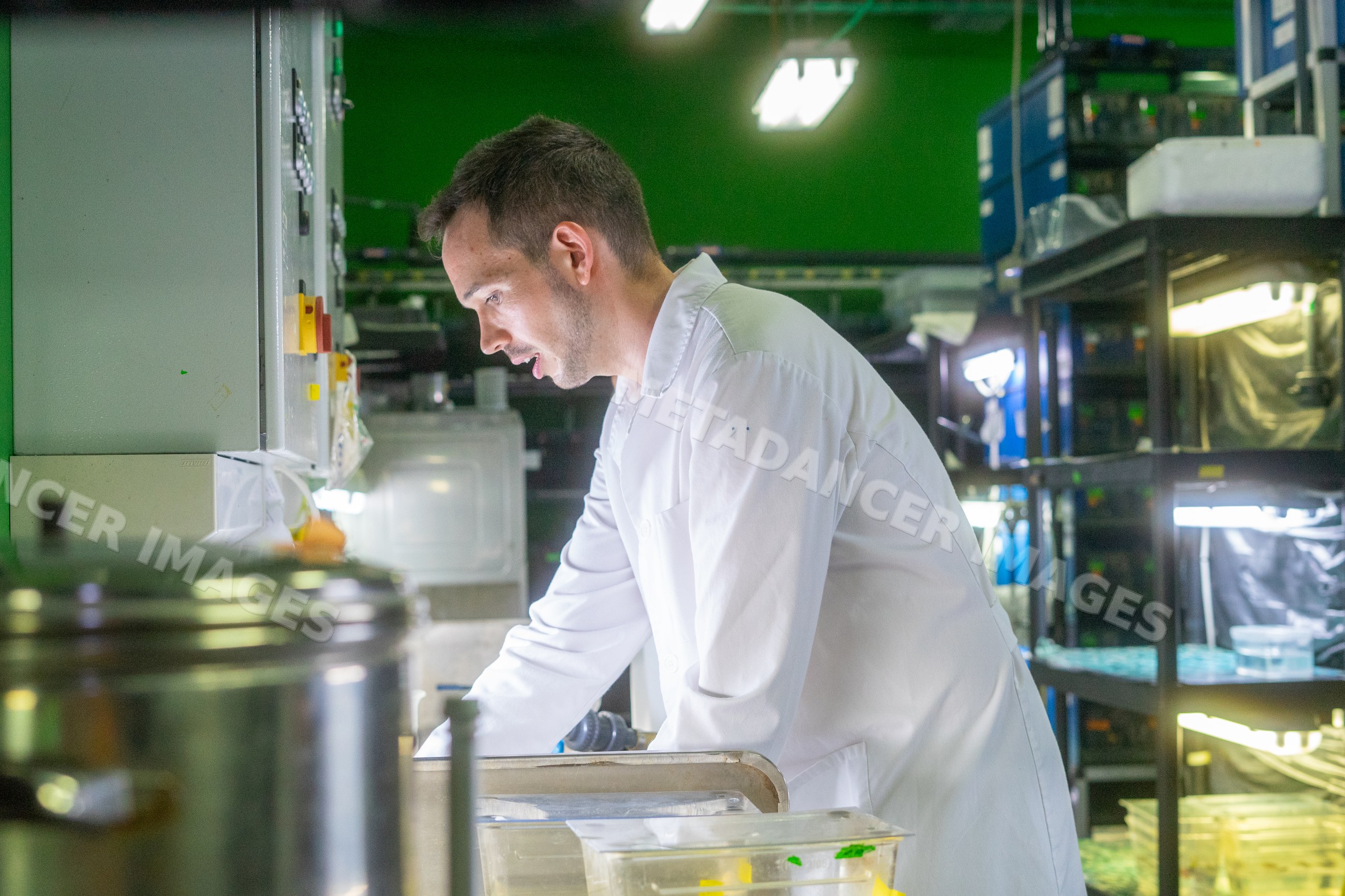 Scientist in a lab coat conducts an experiment in a laboratory