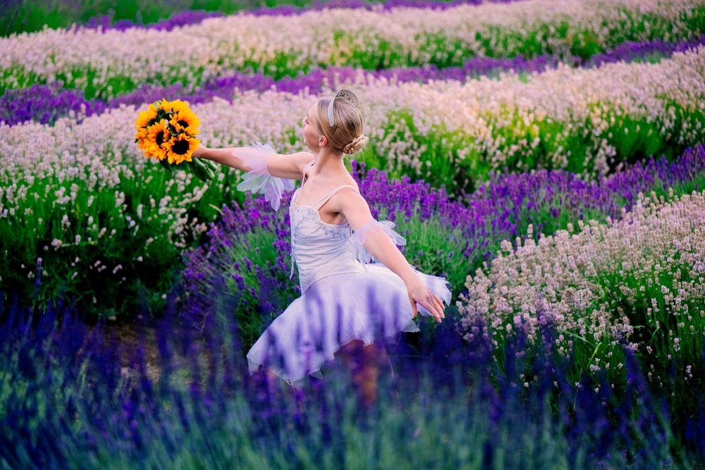 A ballerina dances gracefully in a lavender flower field in washington