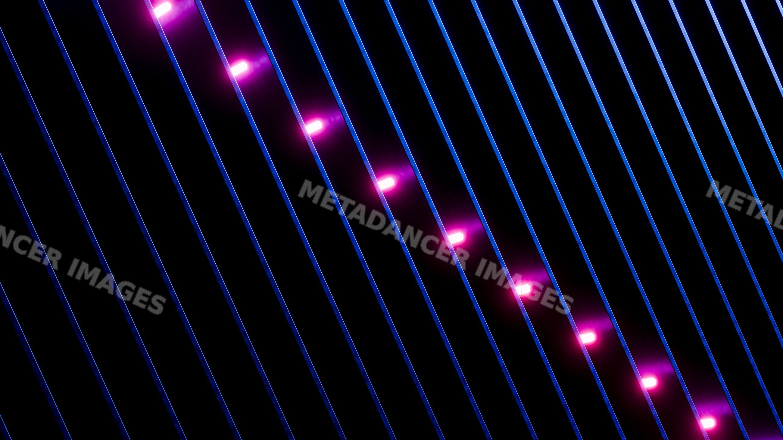 Blue curved lines with glowing purple neon lights on black background