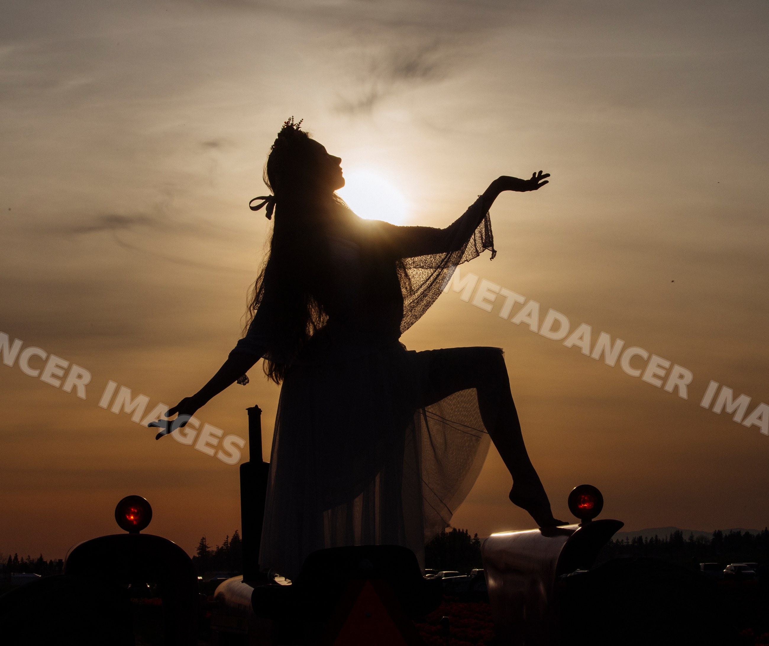 Silhouette of white woman with crown posing on tractor
