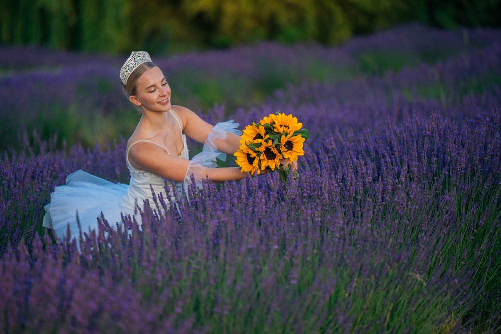 A ballerina holds sunflowers in a blooming lavender field in WA, USA