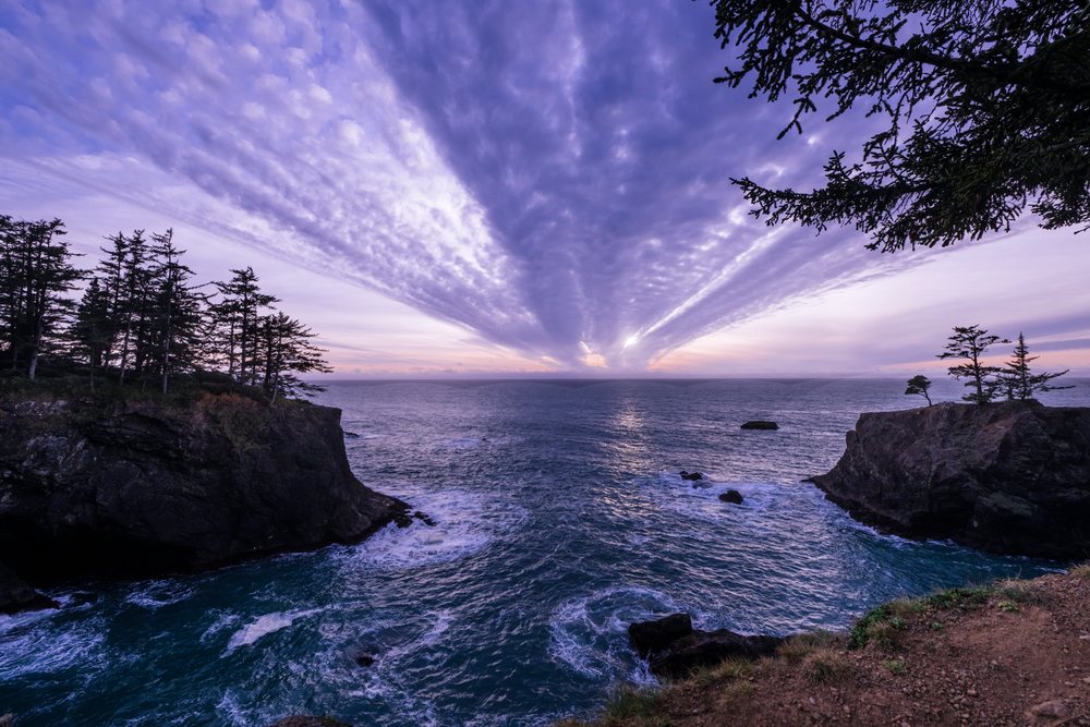 Ocean sunset with cliffs and trees
