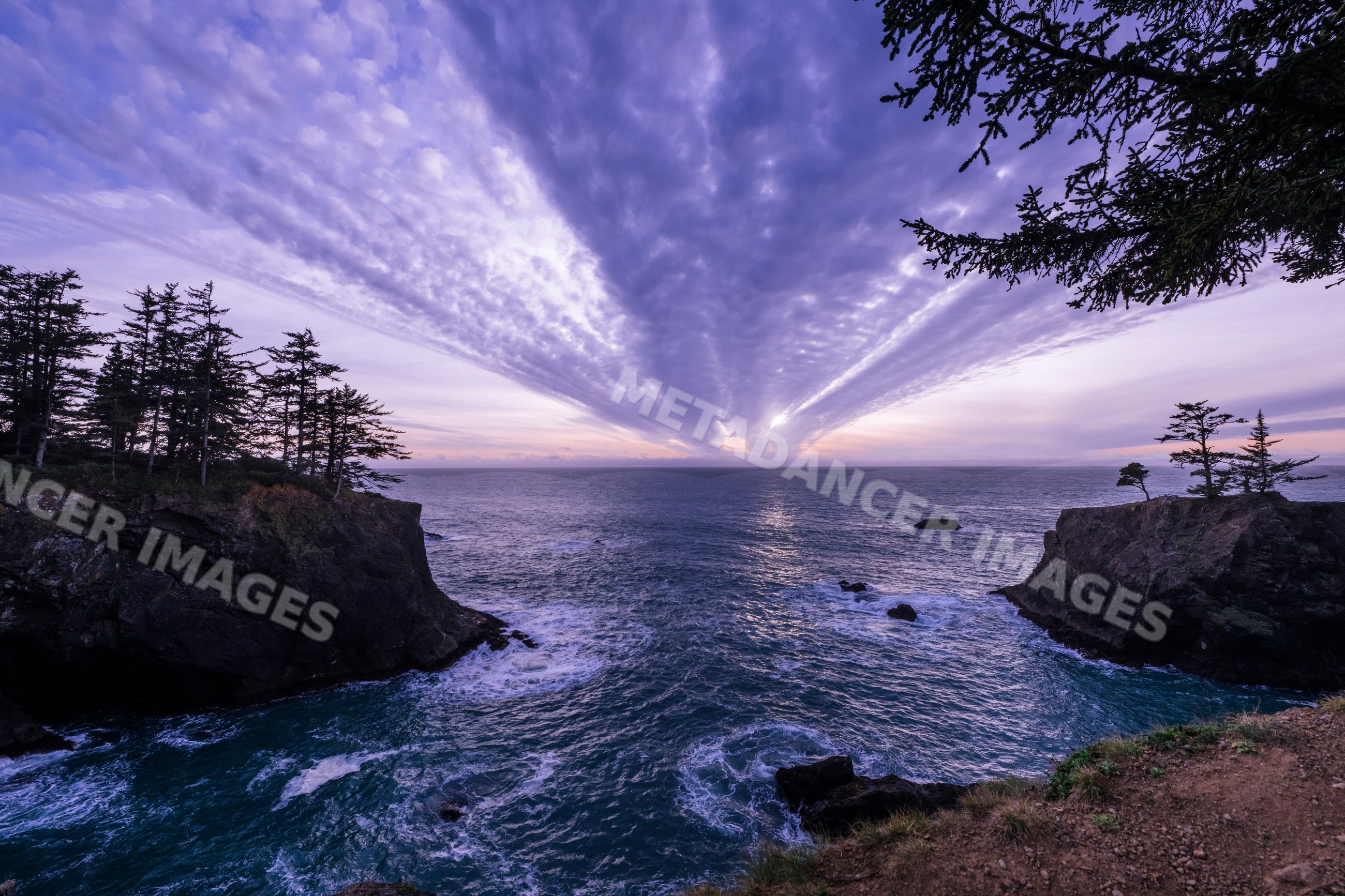 Ocean sunset with cliffs and trees