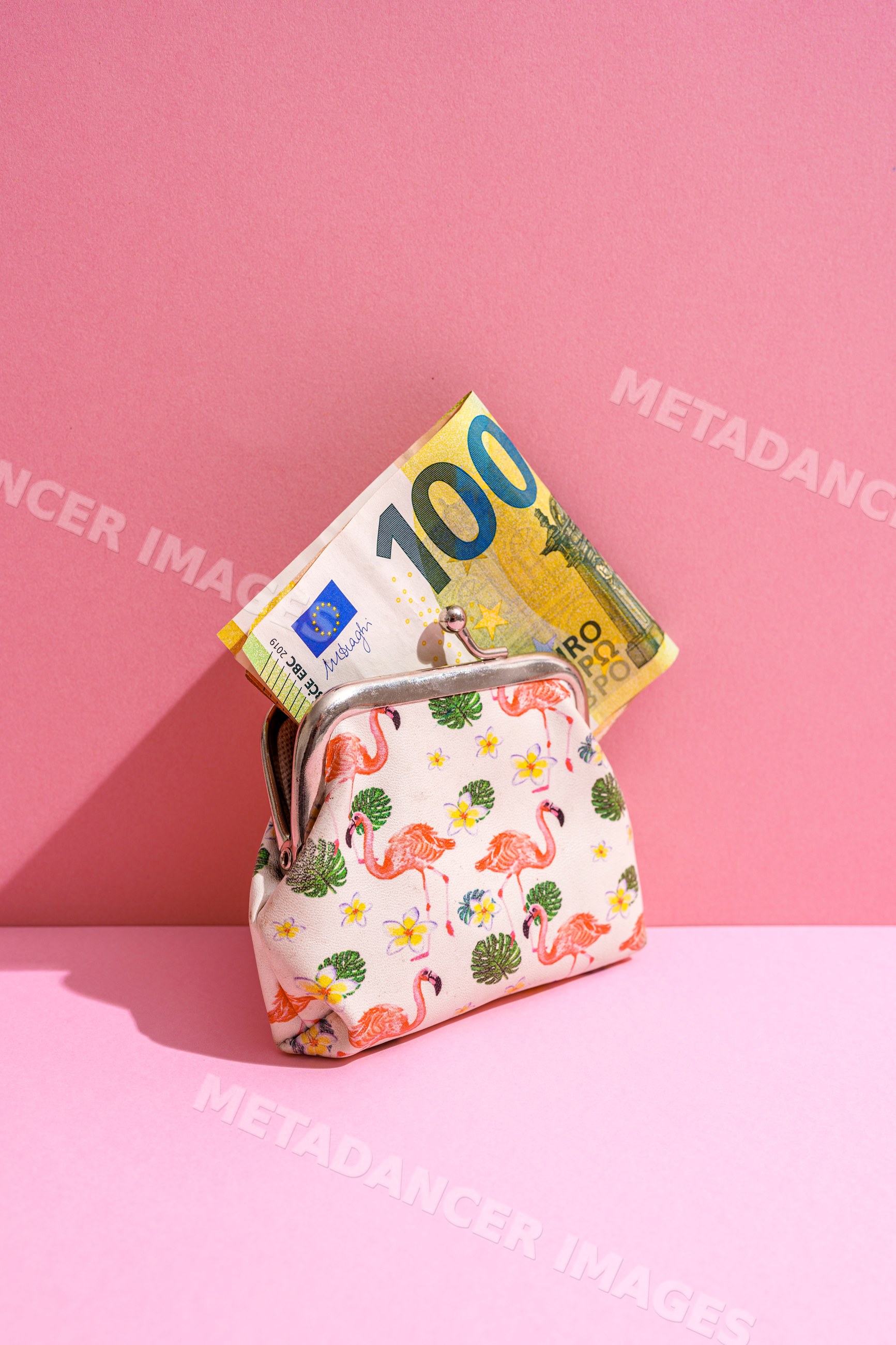 Coin purse with euro banknote on pink background