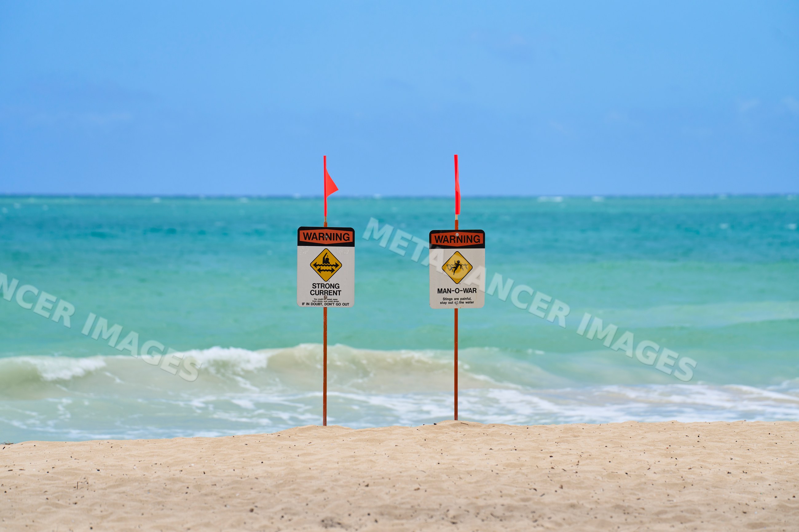 Warning signs for strong current and man-o-war on Hawaii beach