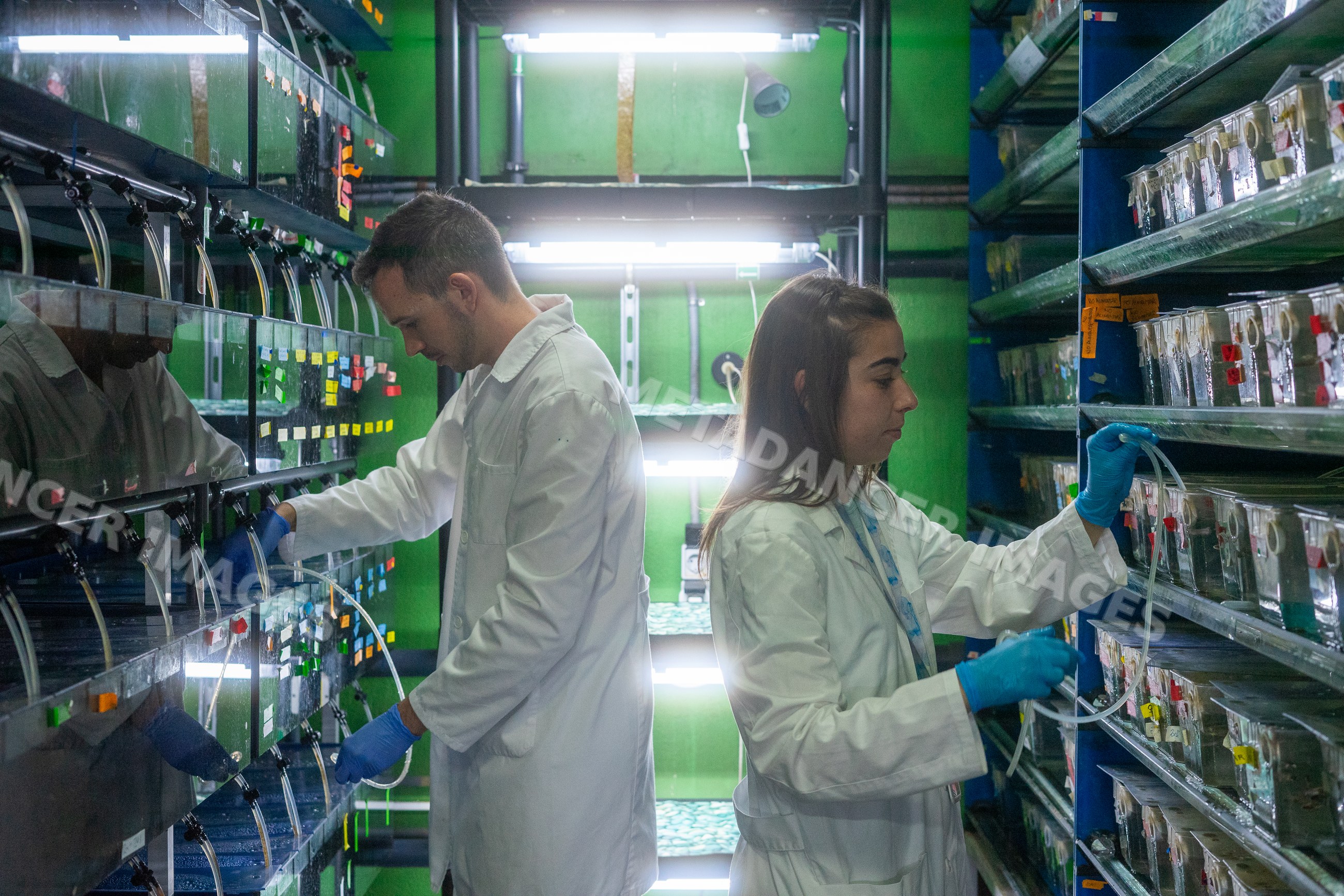 Two scientists conduct aquatic research in a laboratory in Spain