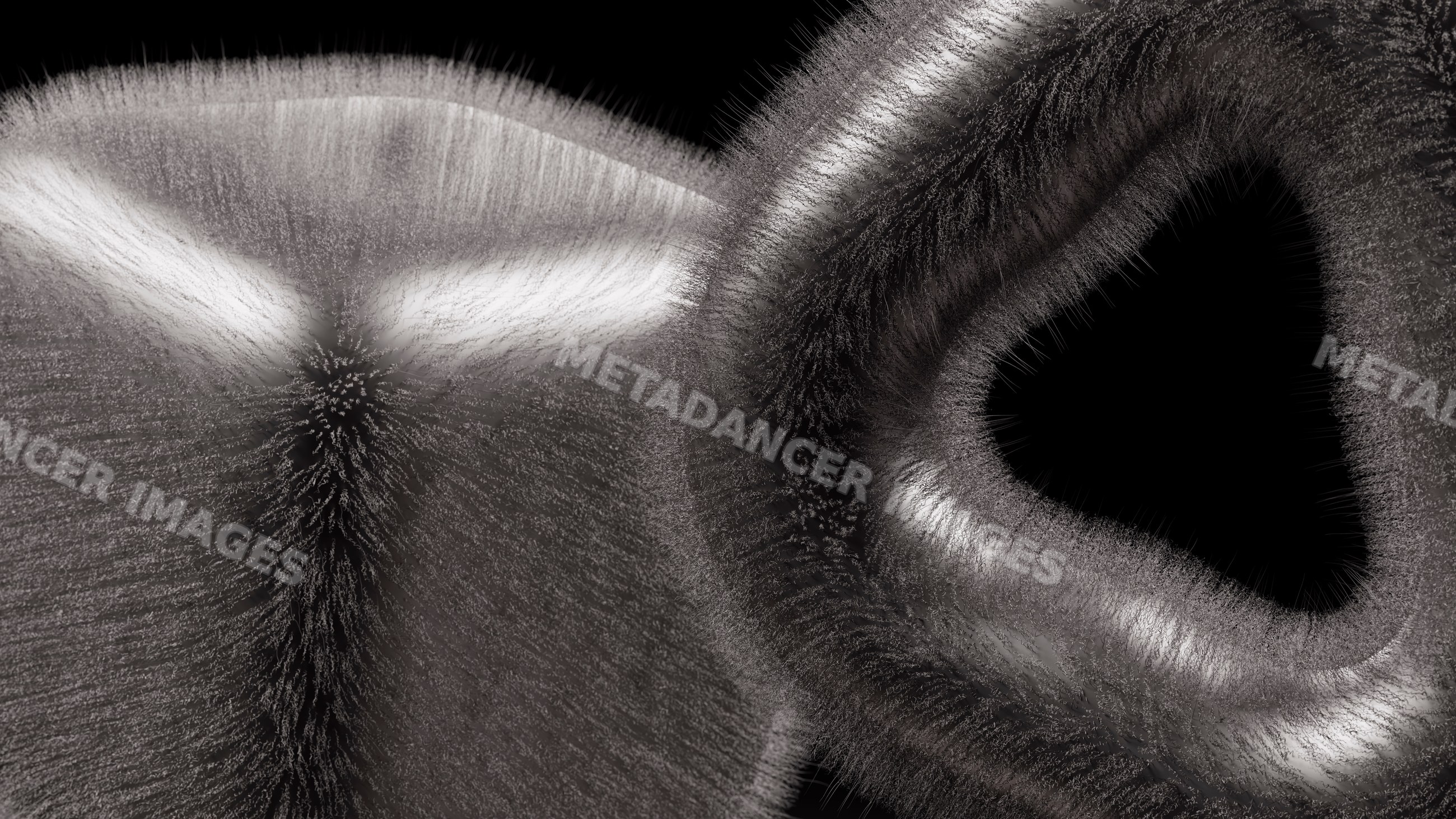 Digital abstract illustration of soft, furry