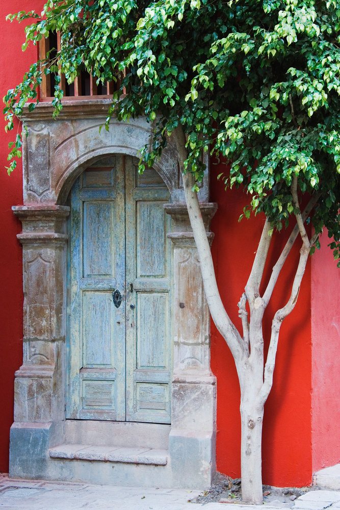Rustic ornate wooden door with stone frame and adjacent tree