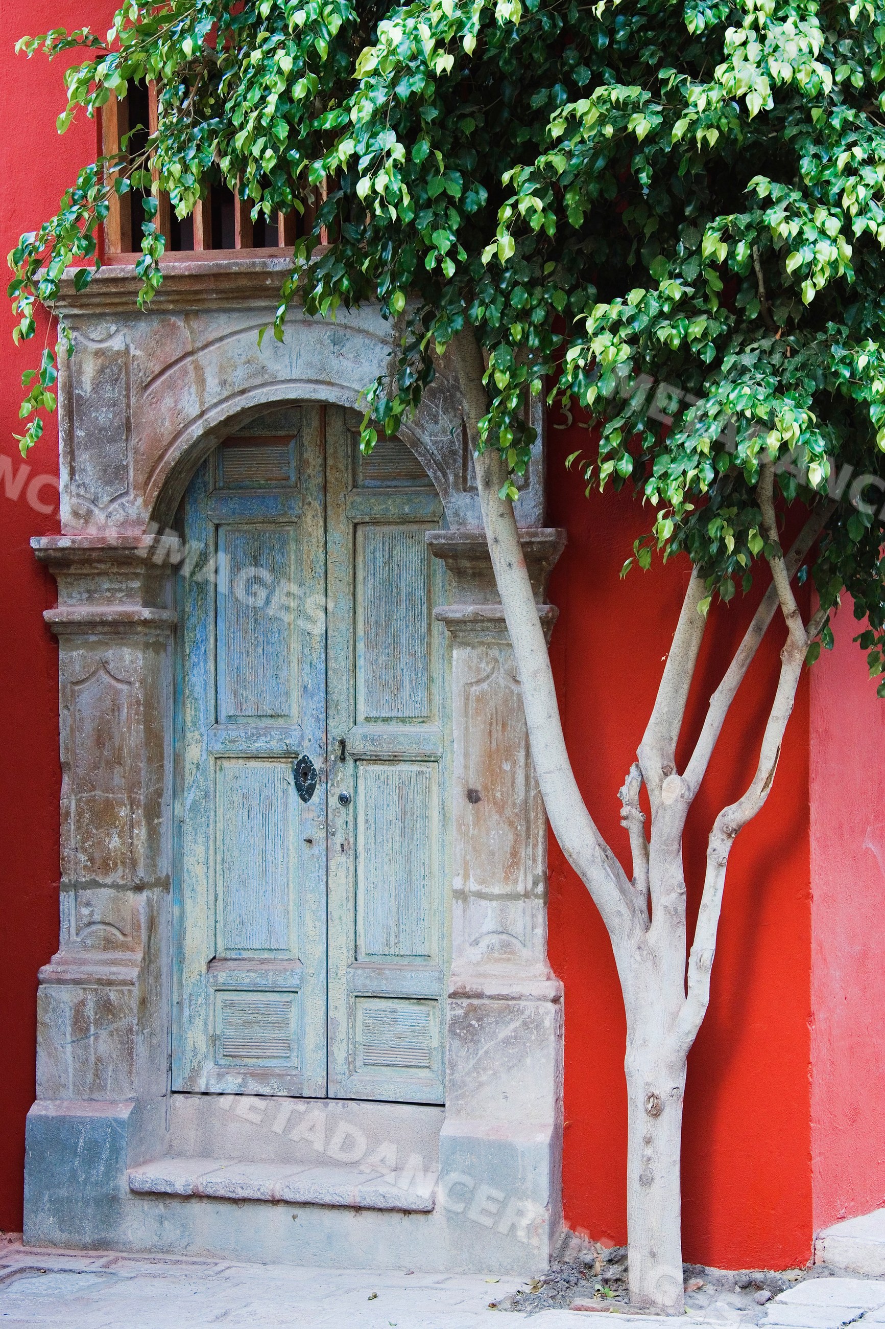 Rustic ornate wooden door with stone frame and adjacent tree