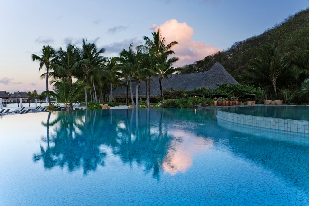 Swimming pool with palm trees resort
