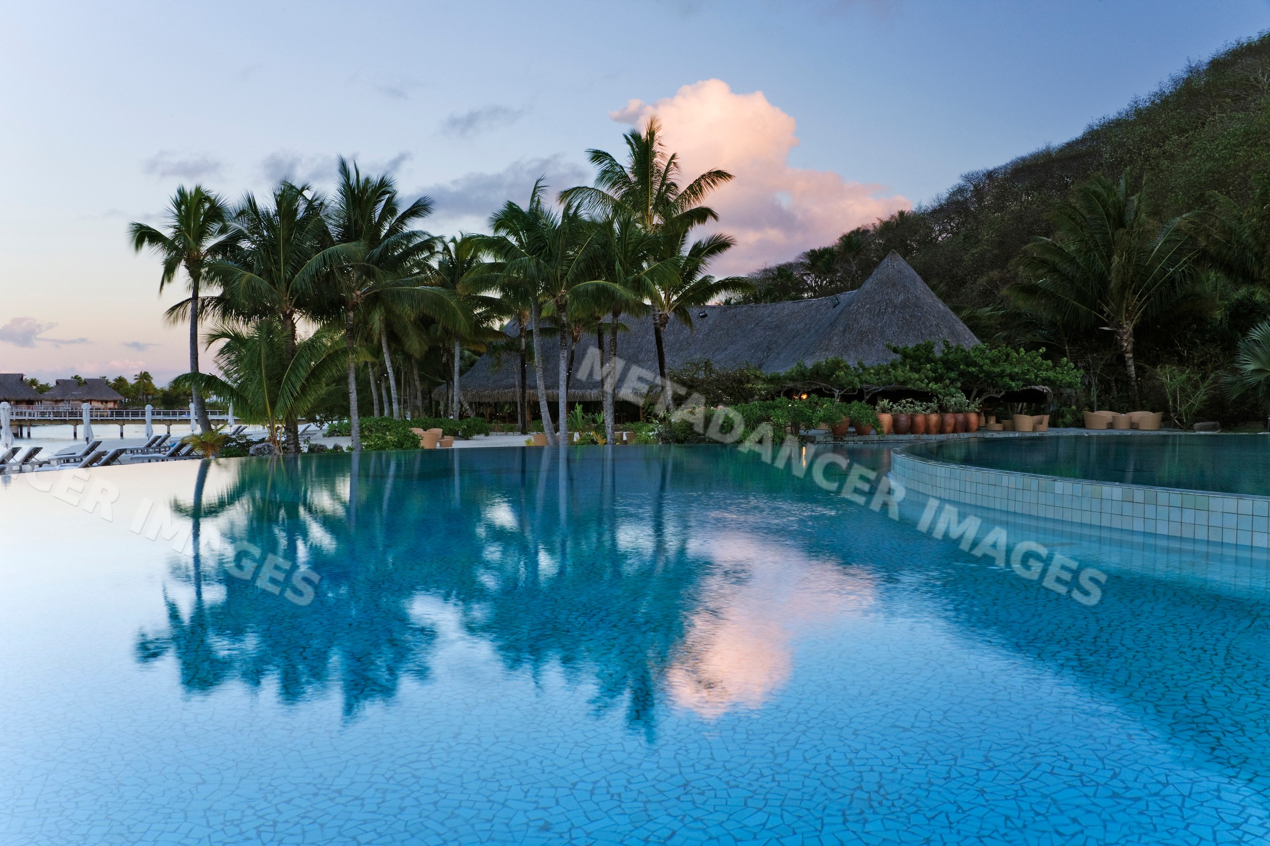 Swimming pool with palm trees resort