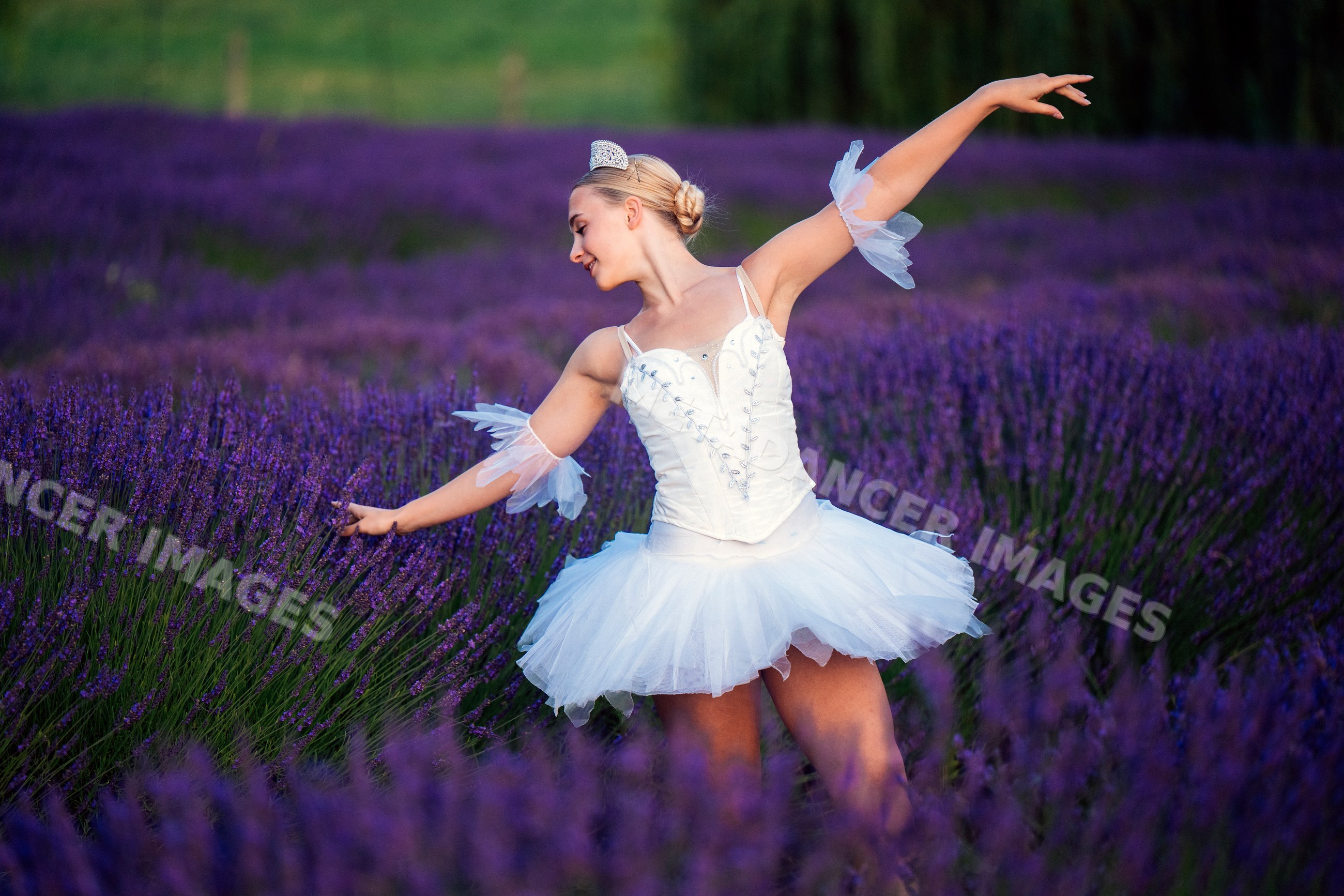 A ballerina dances gracefully in a lavender field in WA, USA