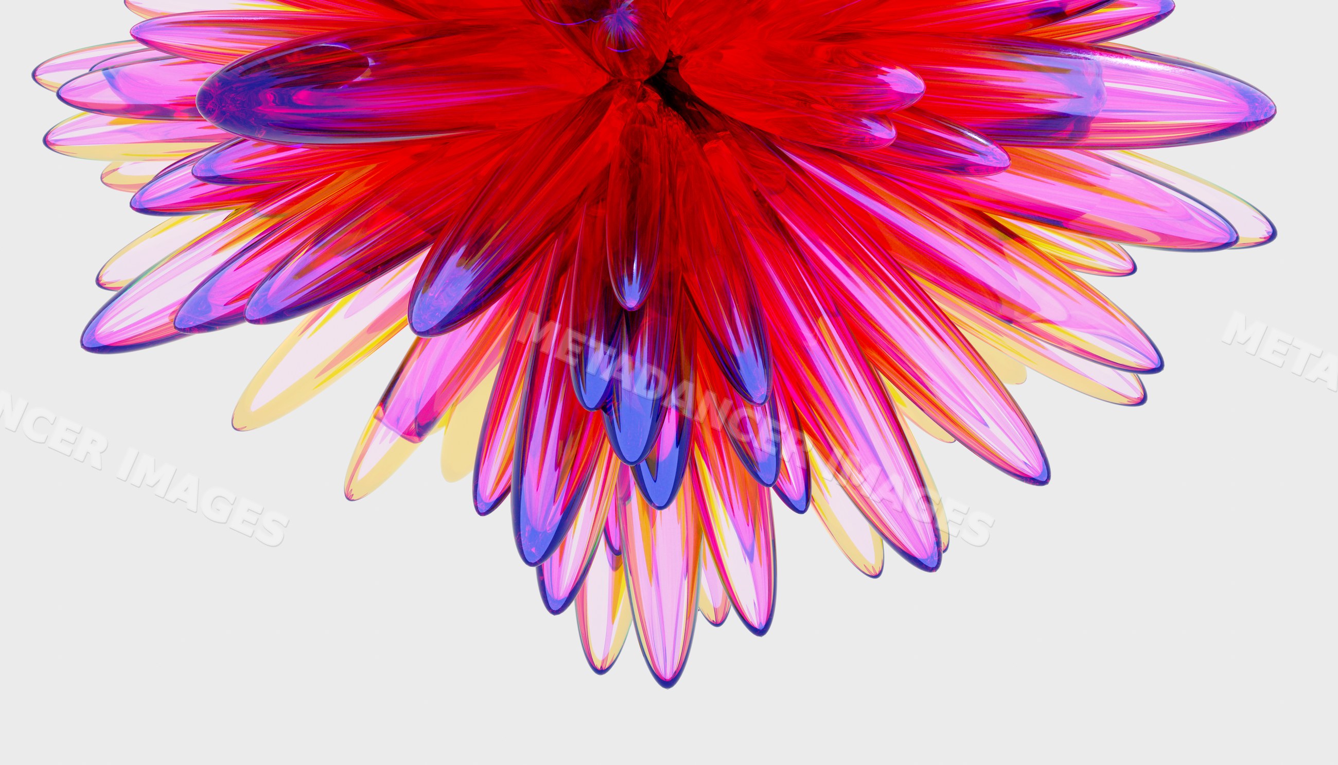 Colorful translucent digital flower with layered petals on white