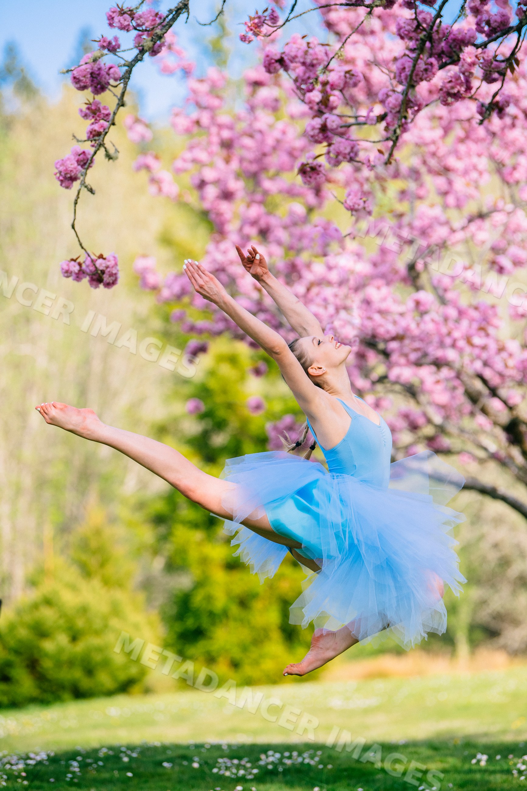 Ballet white dancer leaping outdoors under cherry blossom trees
