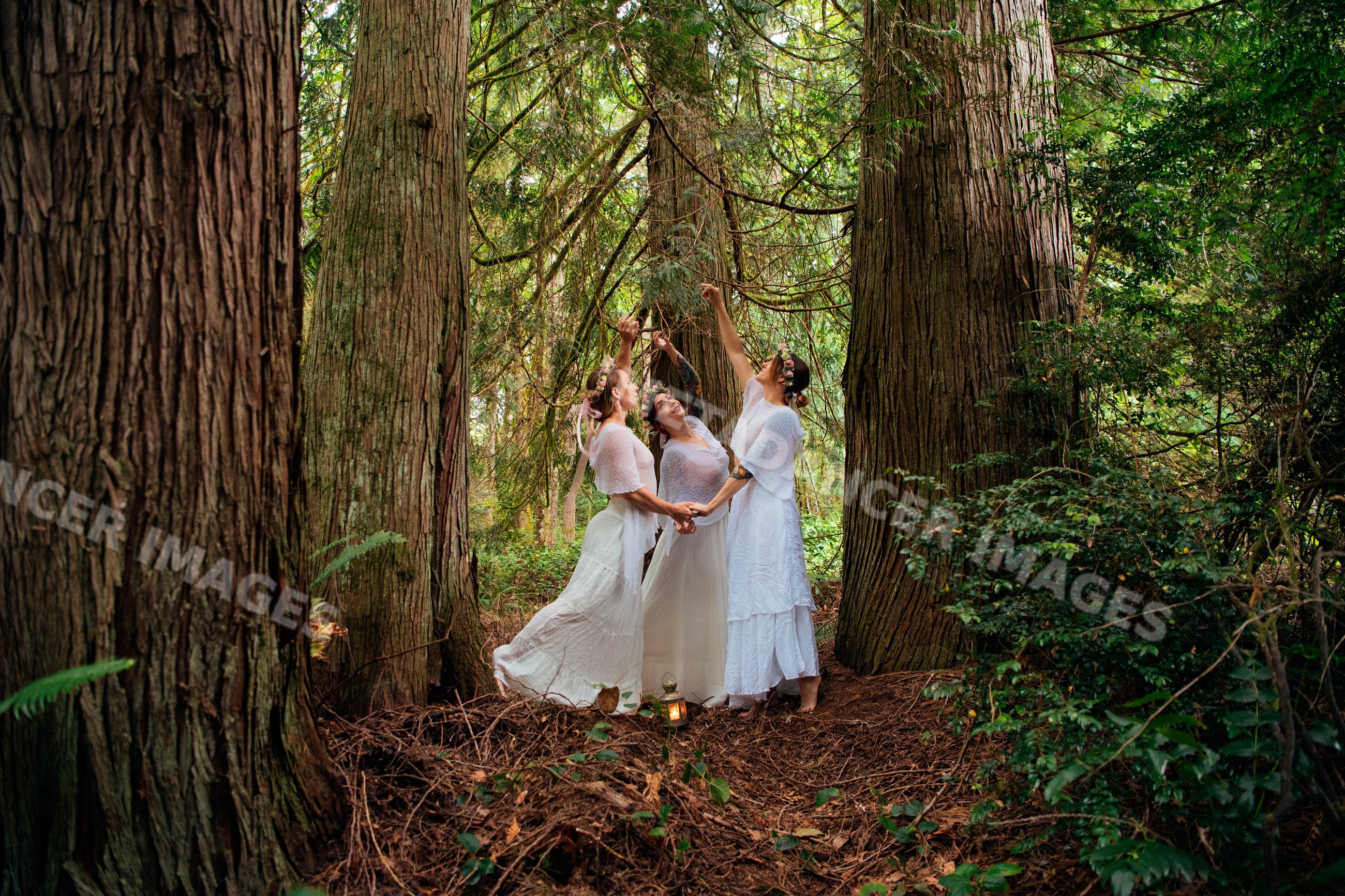 Three women in white dresses holding hands in a forest