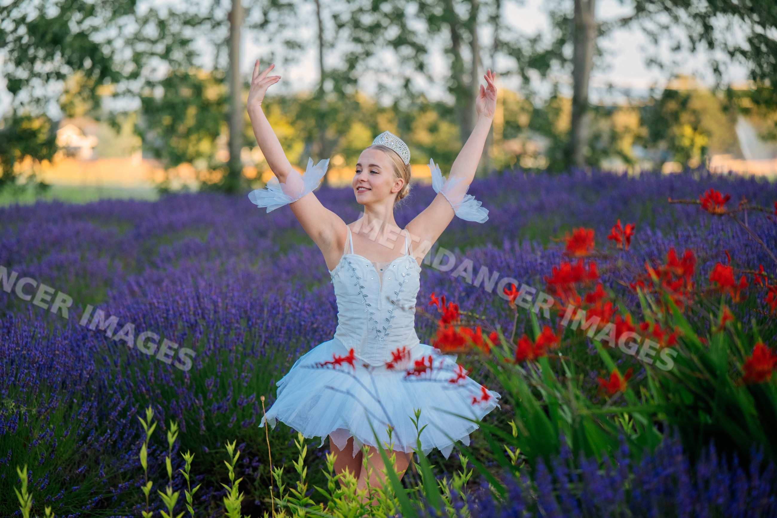 A ballerina poses gracefully in a vibrant flower field in WA, USA