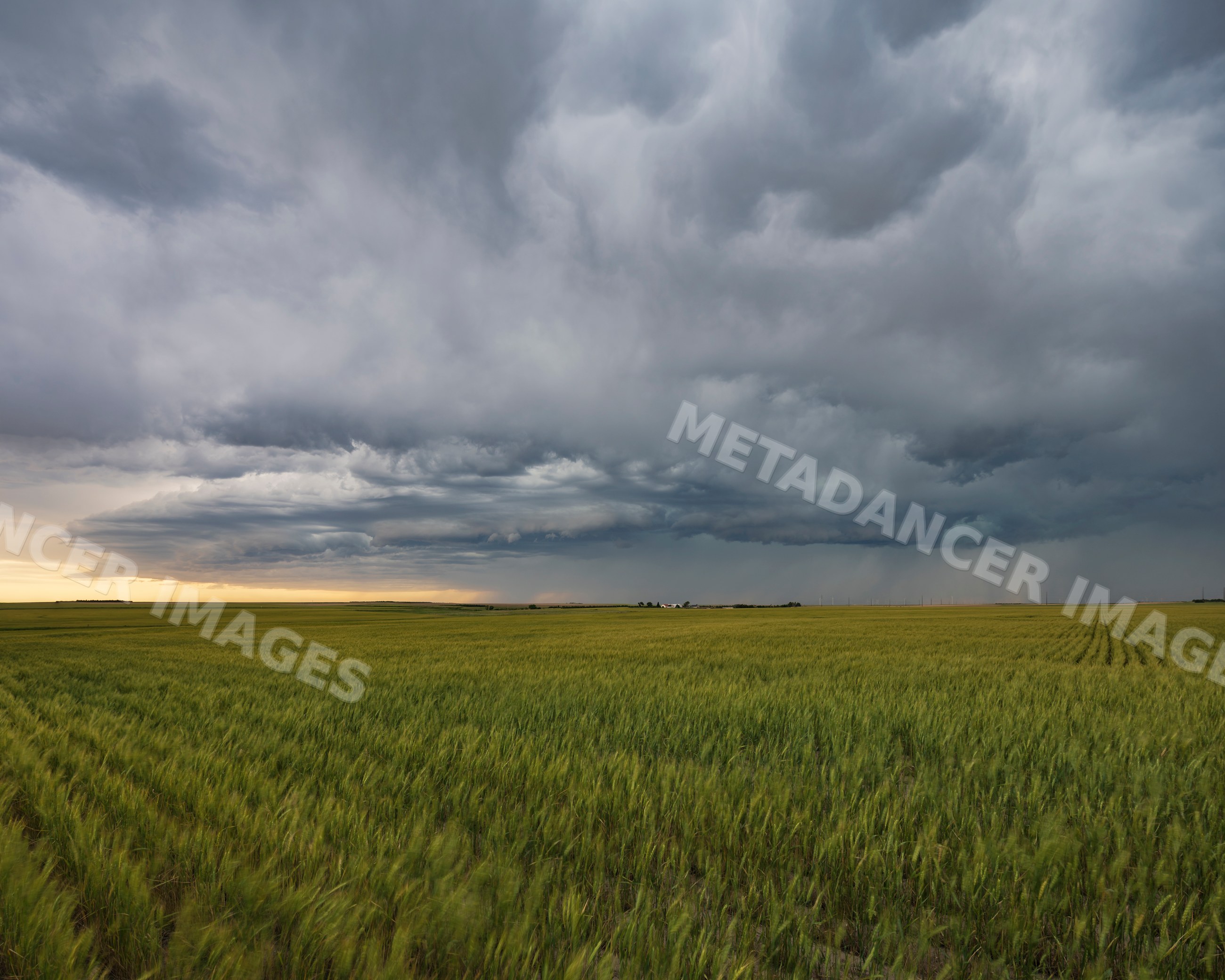 Storm clouds gather over Wheat Field in fleming oklahoma Great Plains