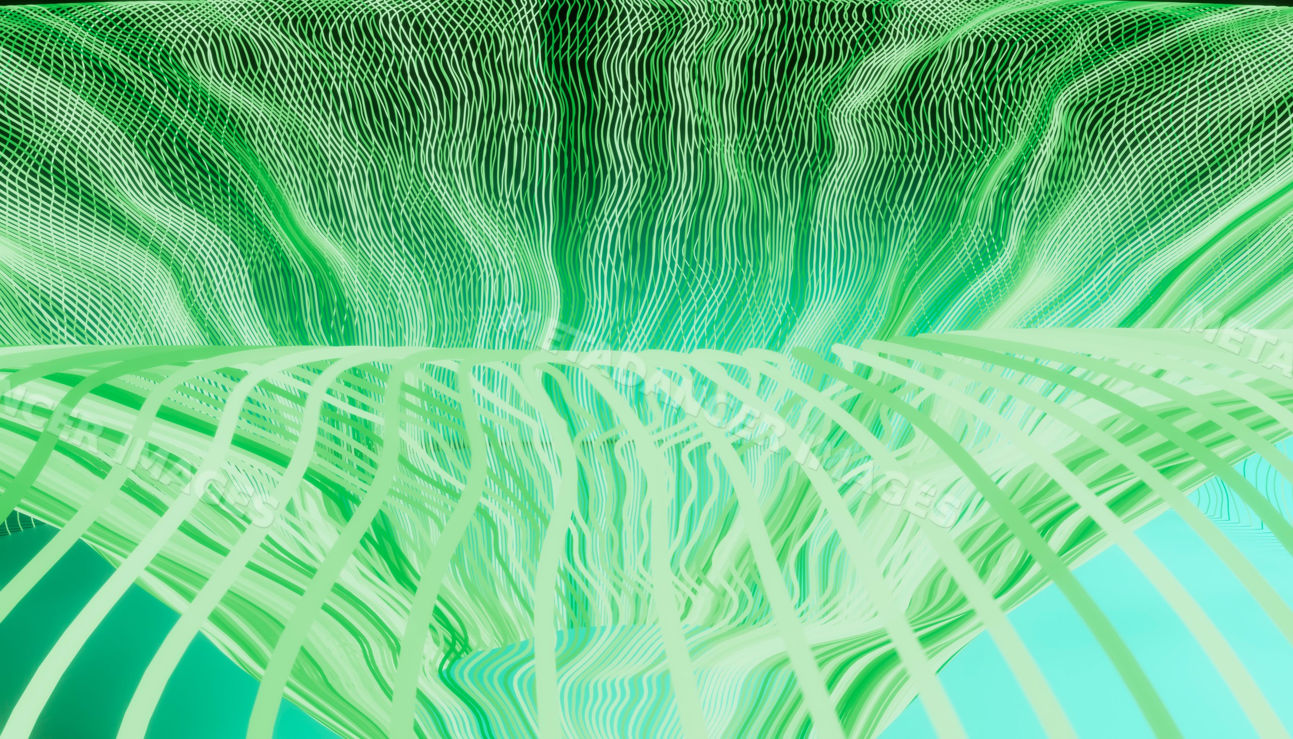 Abstract green curved line wave pattern digital art