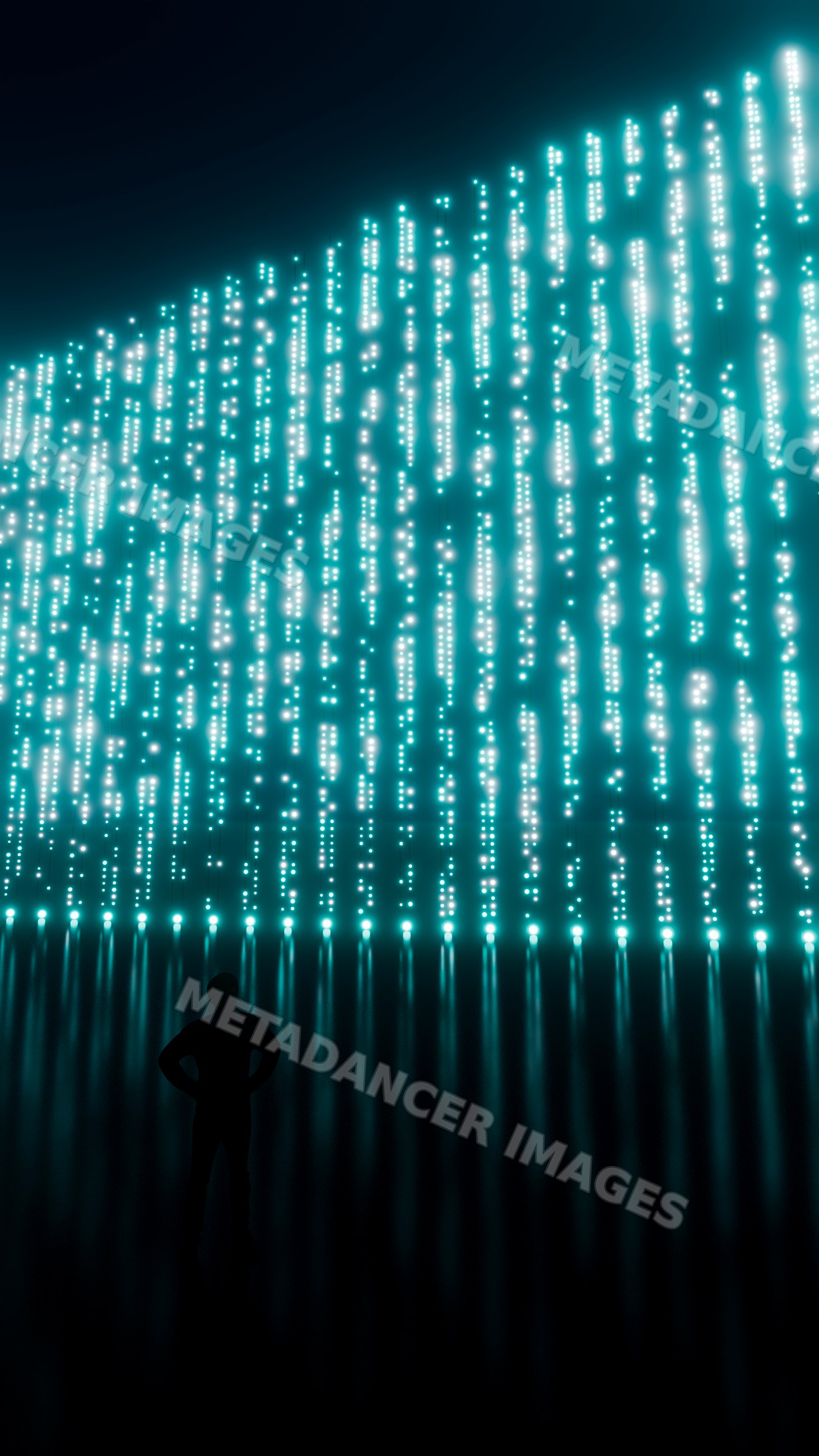 Silhouette facing digital installation with glowing vertical blue