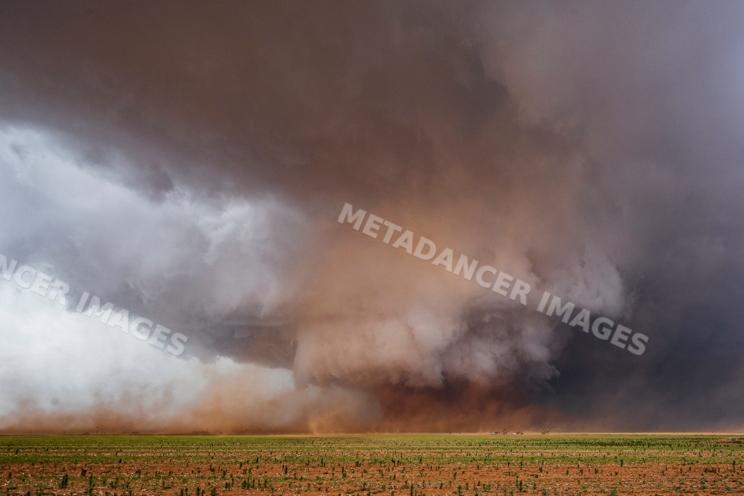 Monster Wedge Tornado forming over field near Morton texas