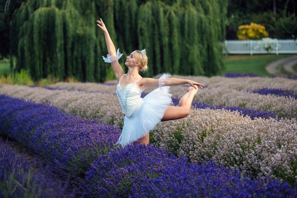 A white dancer poses gracefully in a lavender field in WA, USA