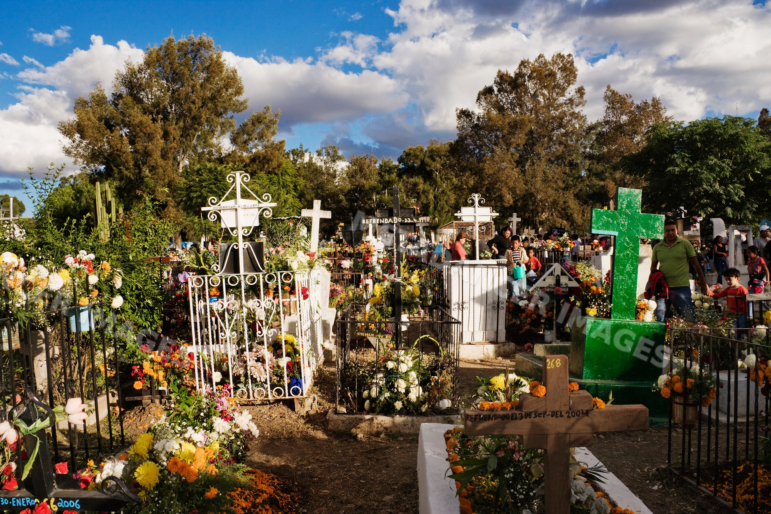 Day of the dead cemetery decorated with flowers, mexico