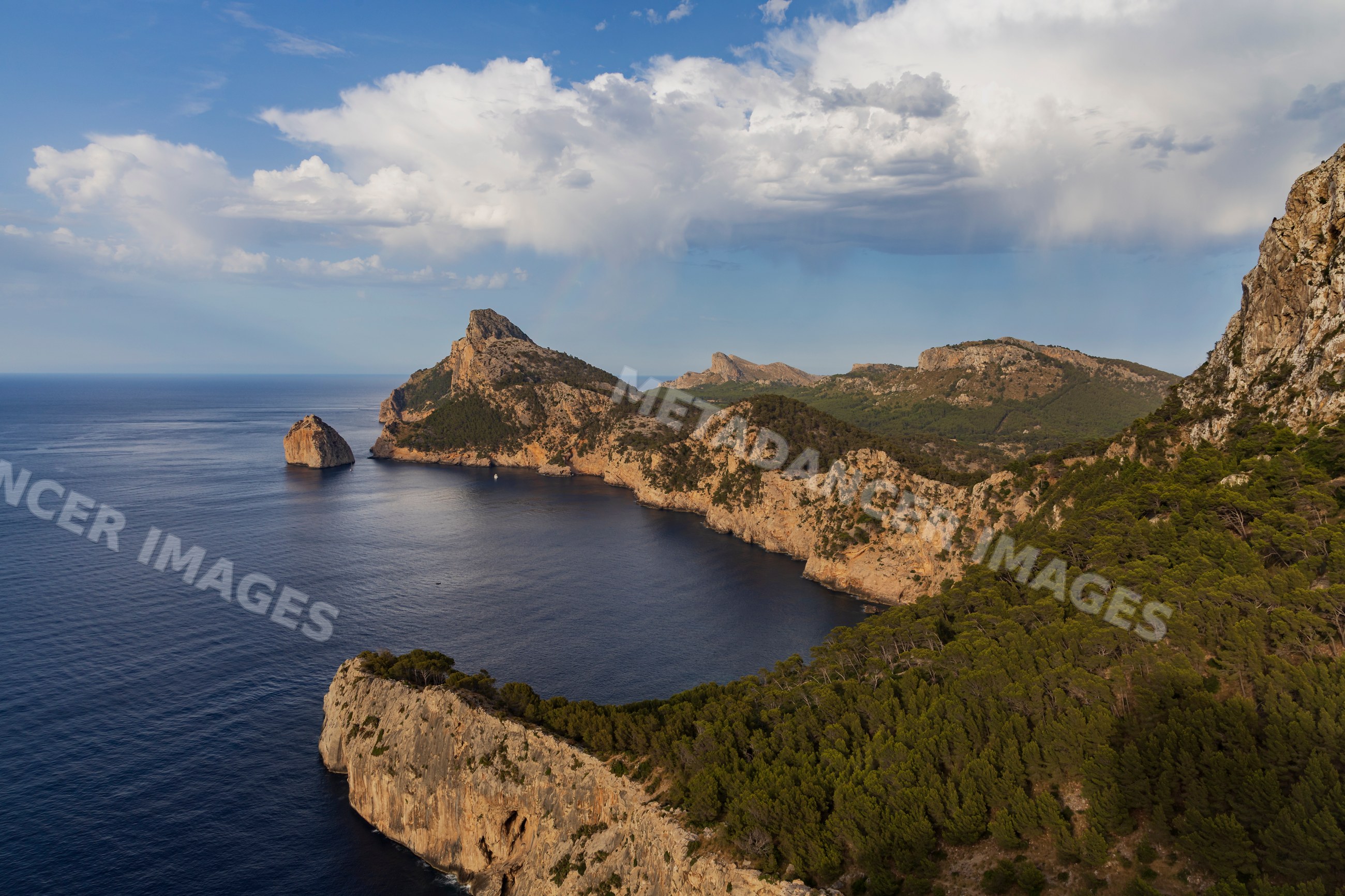Cap formentor coastline view with cliffs and pine forest
