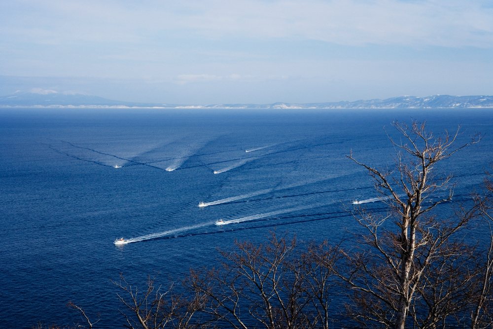 Fishing fleet boats on sea near rausu, shiretoko peninsula, hokkaido