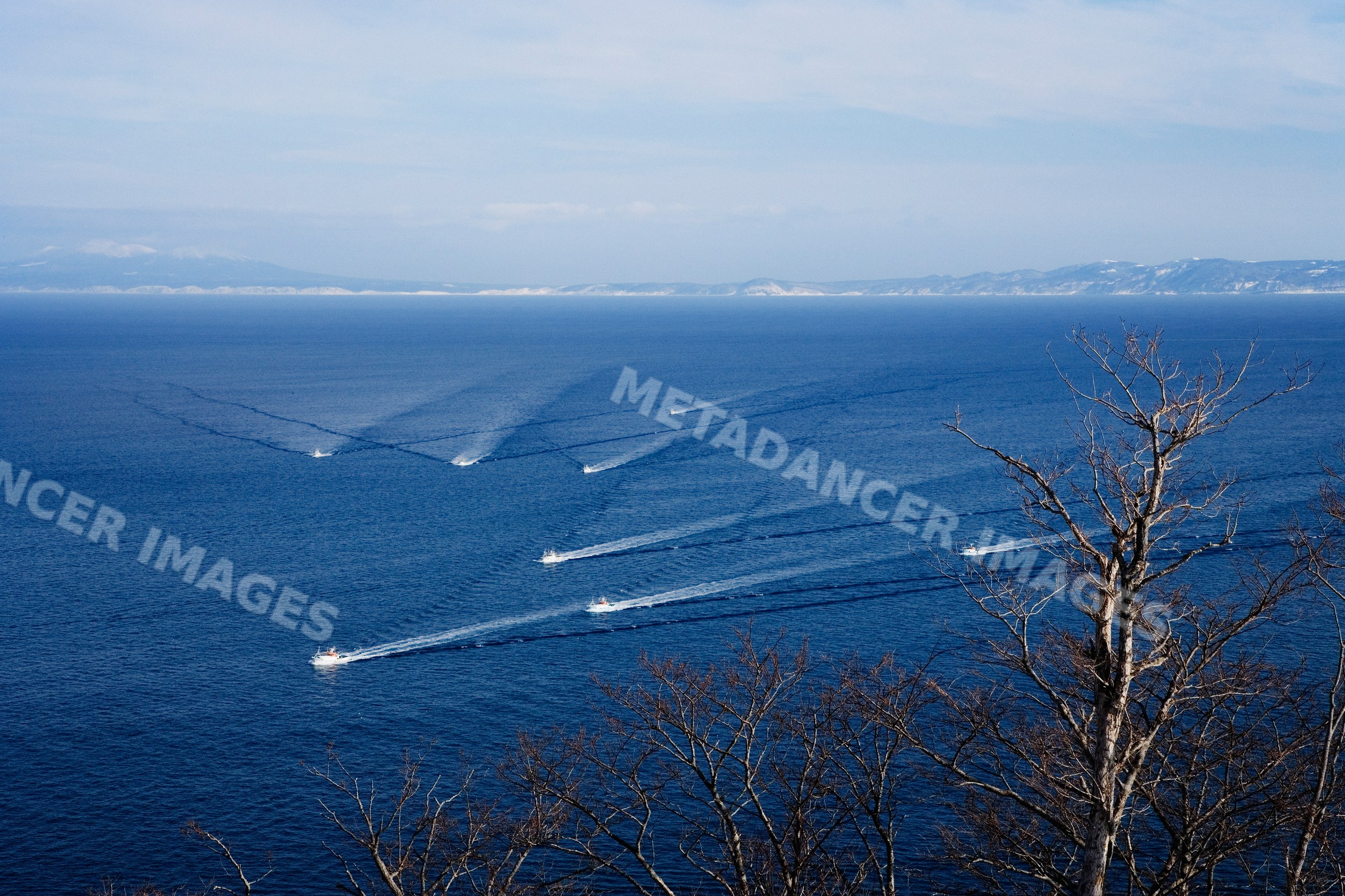 Fishing fleet boats on sea near rausu, shiretoko peninsula, hokkaido