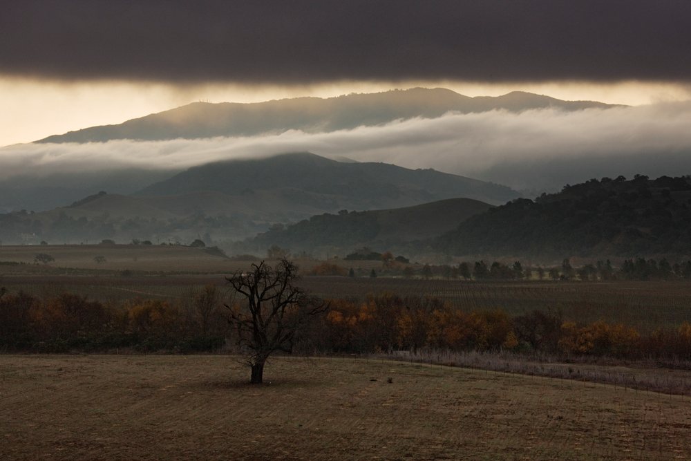 Fields and hills landscape with fog