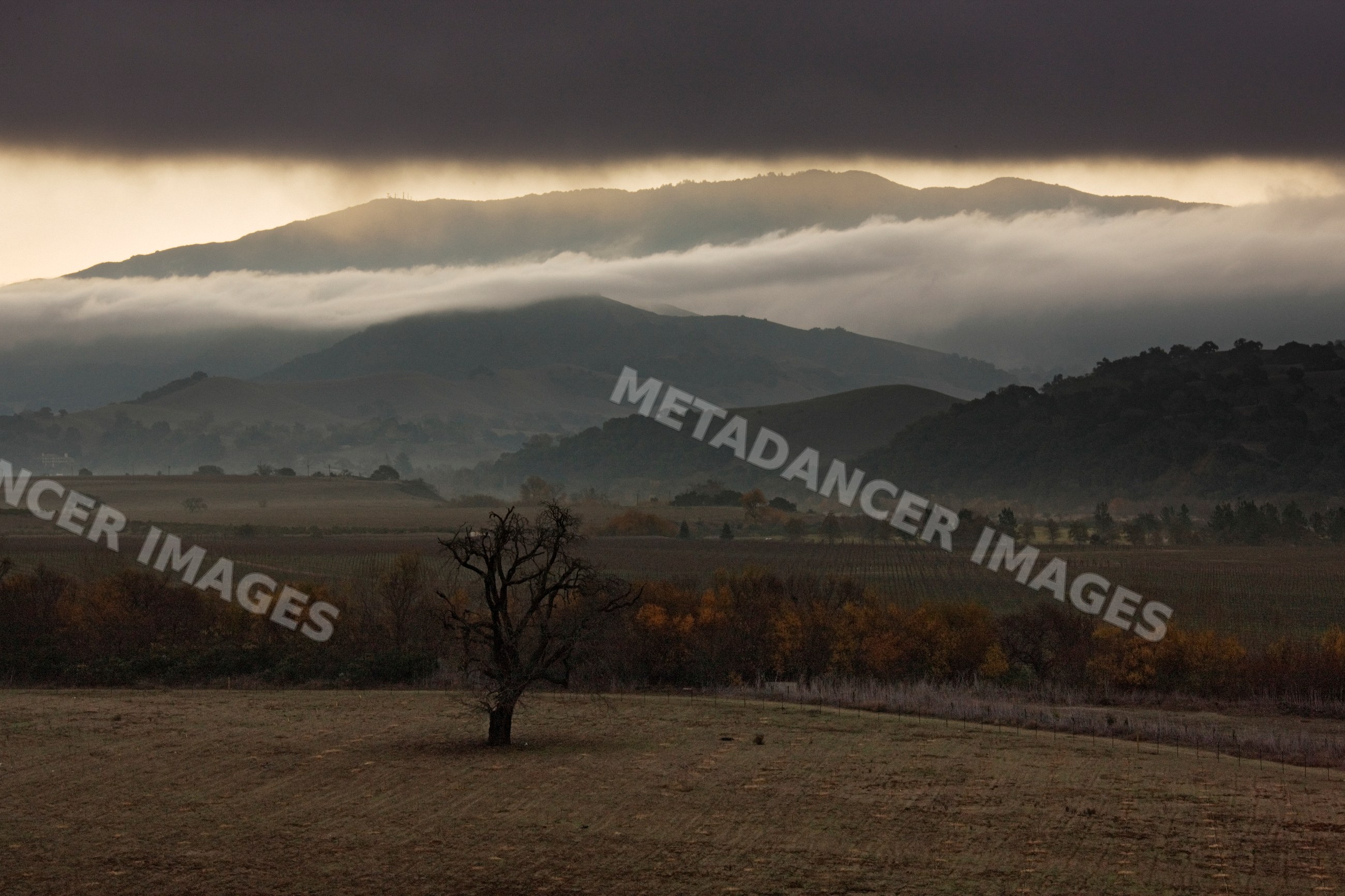 Fields and hills landscape with fog