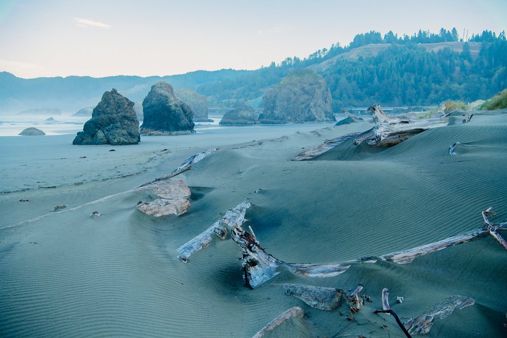 Driftwood and rock formations on Oregon coast sand dunes