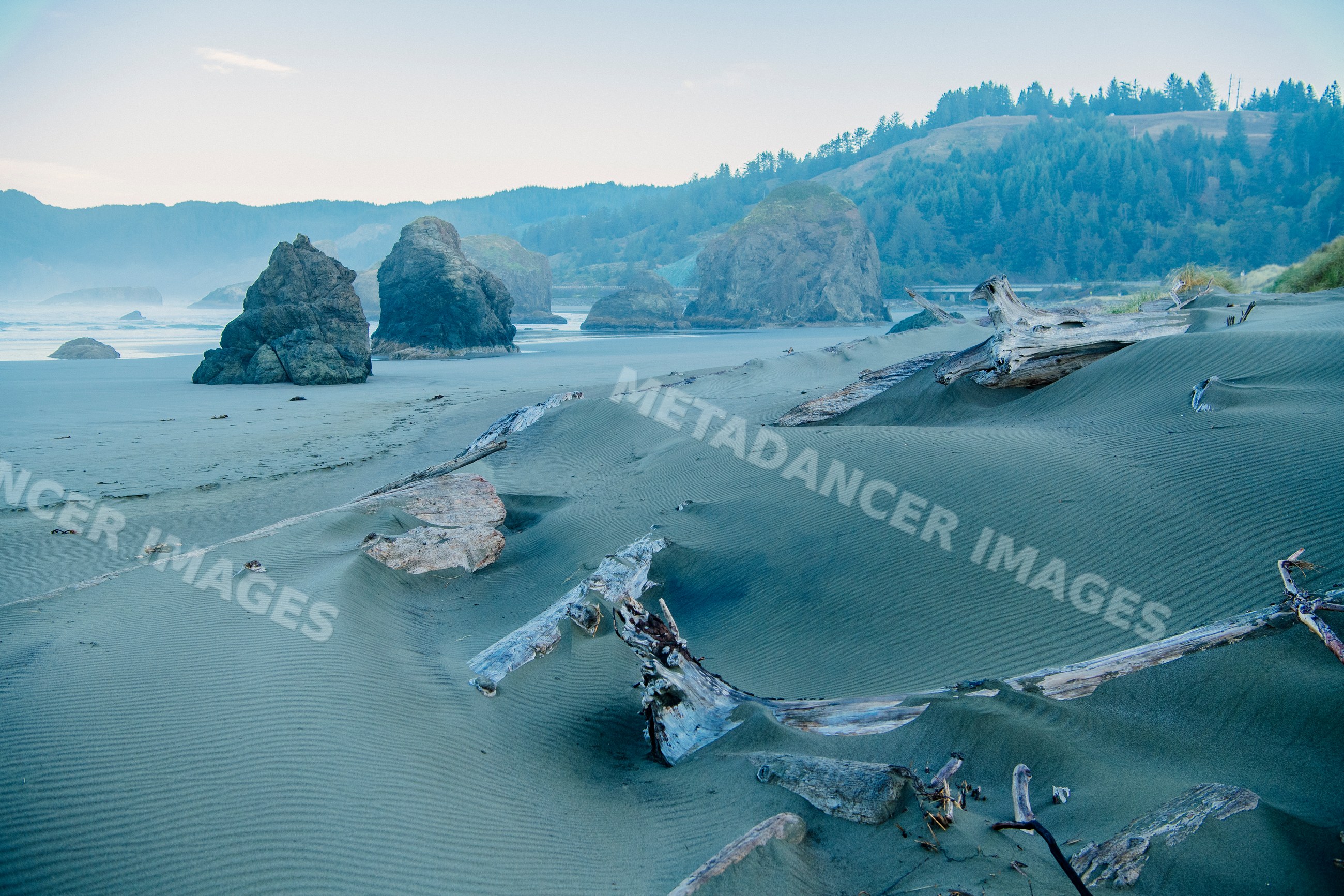 Driftwood and rock formations on Oregon coast sand dunes