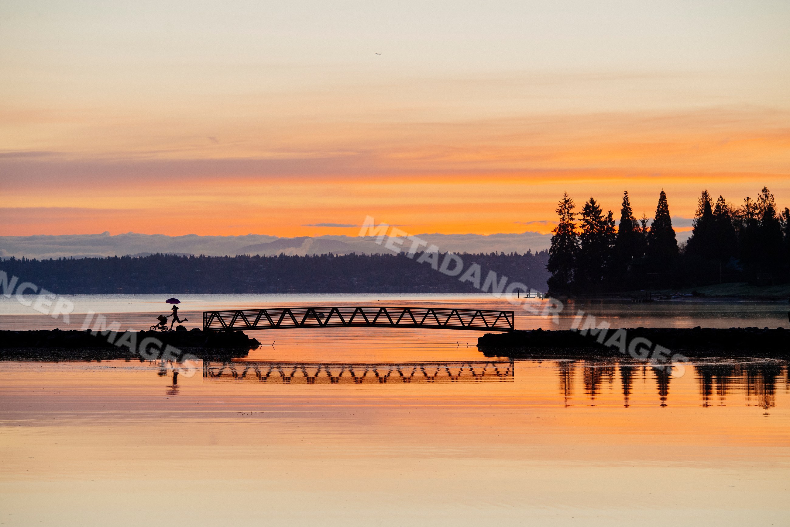 Sunset silhouette of woman running with stroller on Bainbridge Island