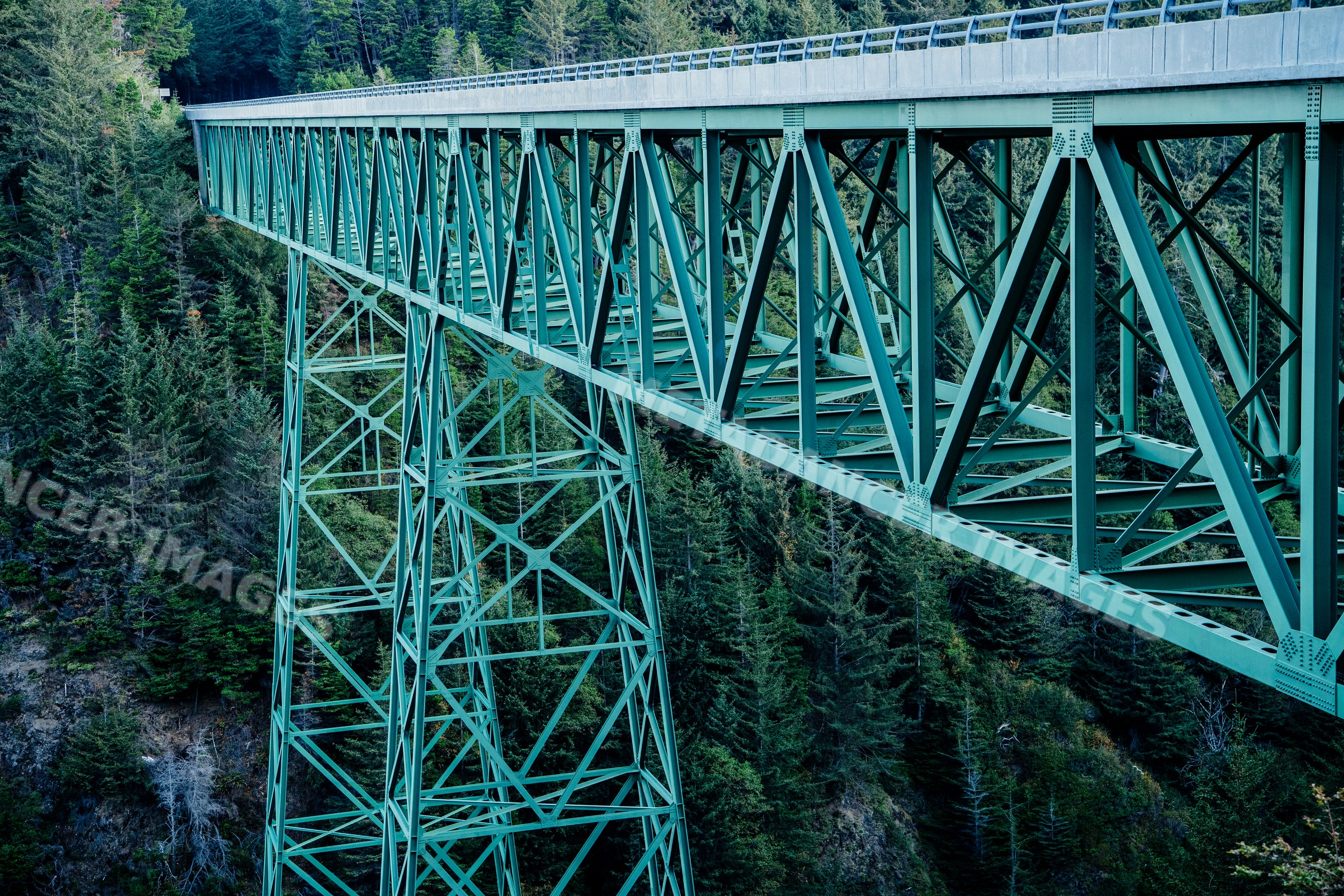 Green steel truss bridge above forest, Oregon
