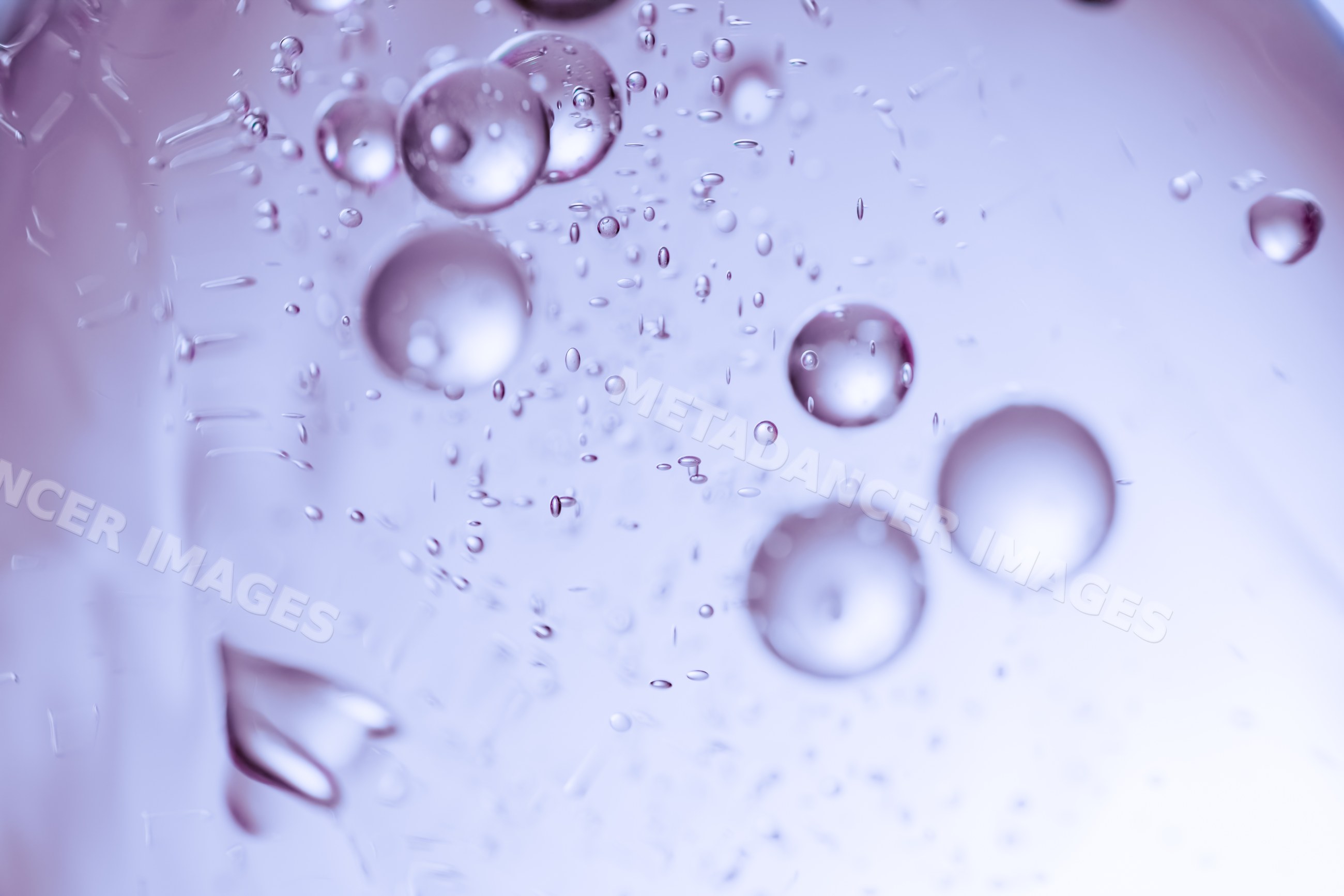 Water bubbles suspended in a liquid with purple abstract background