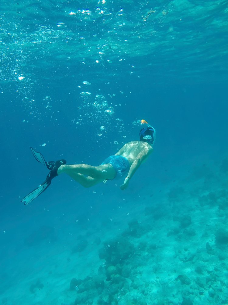 A man snorkeling explores the clear underwater world