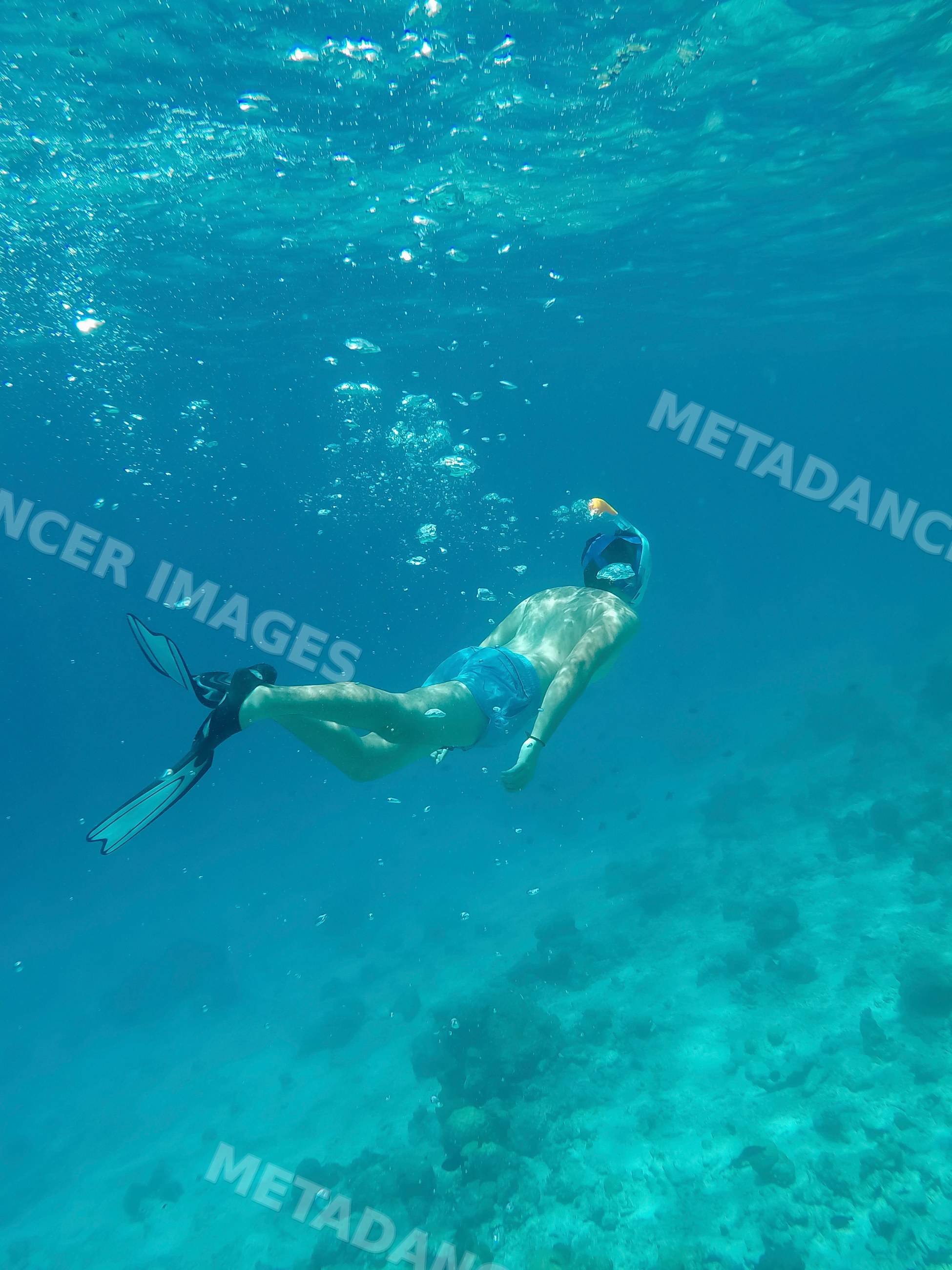A man snorkeling explores the clear underwater world