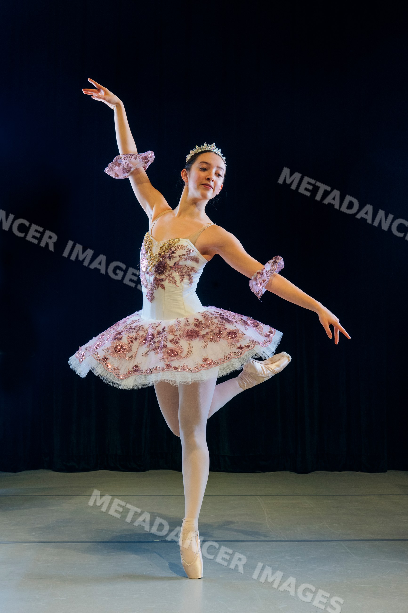 A ballerina performs a graceful pose during a dance performance